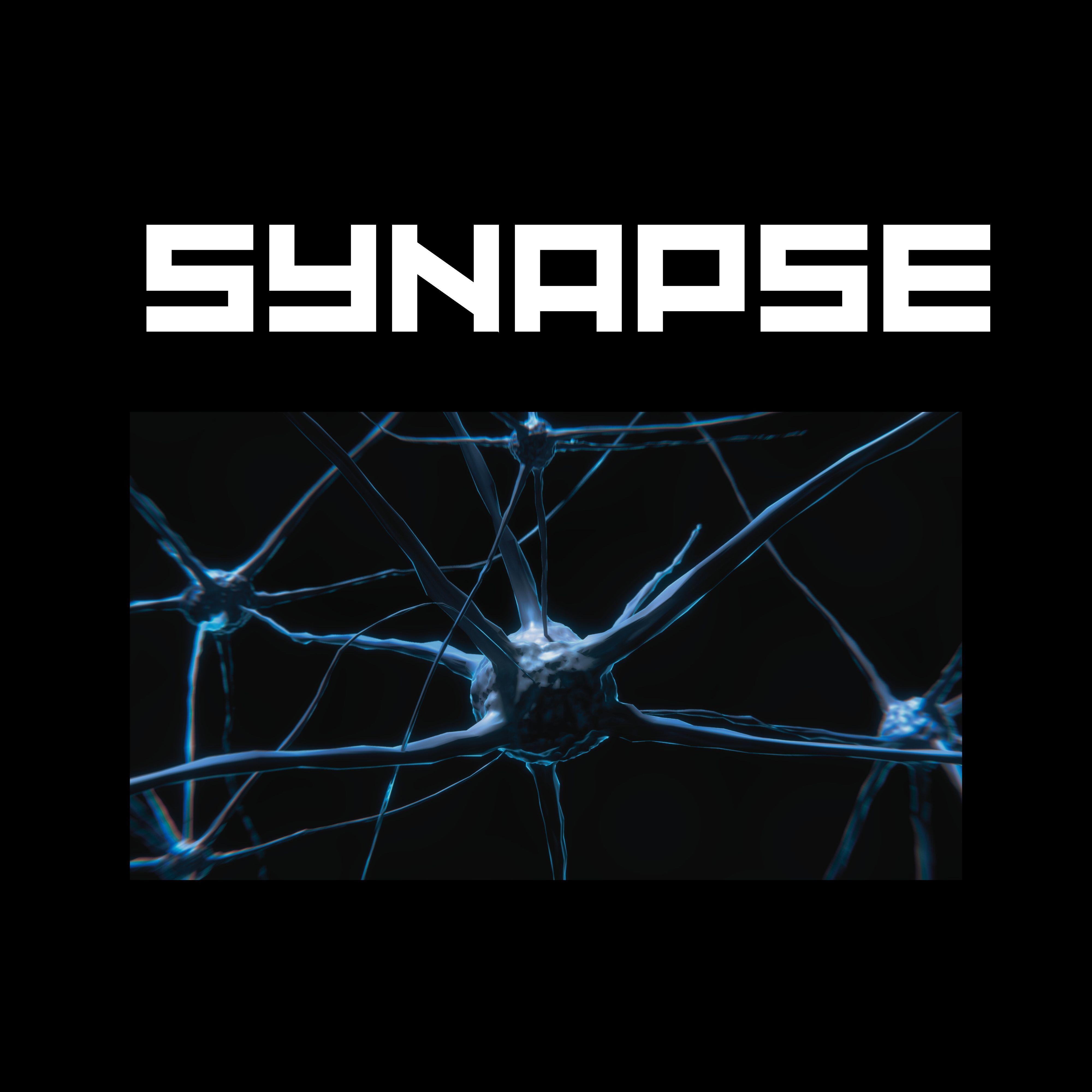 Постер альбома Synapse