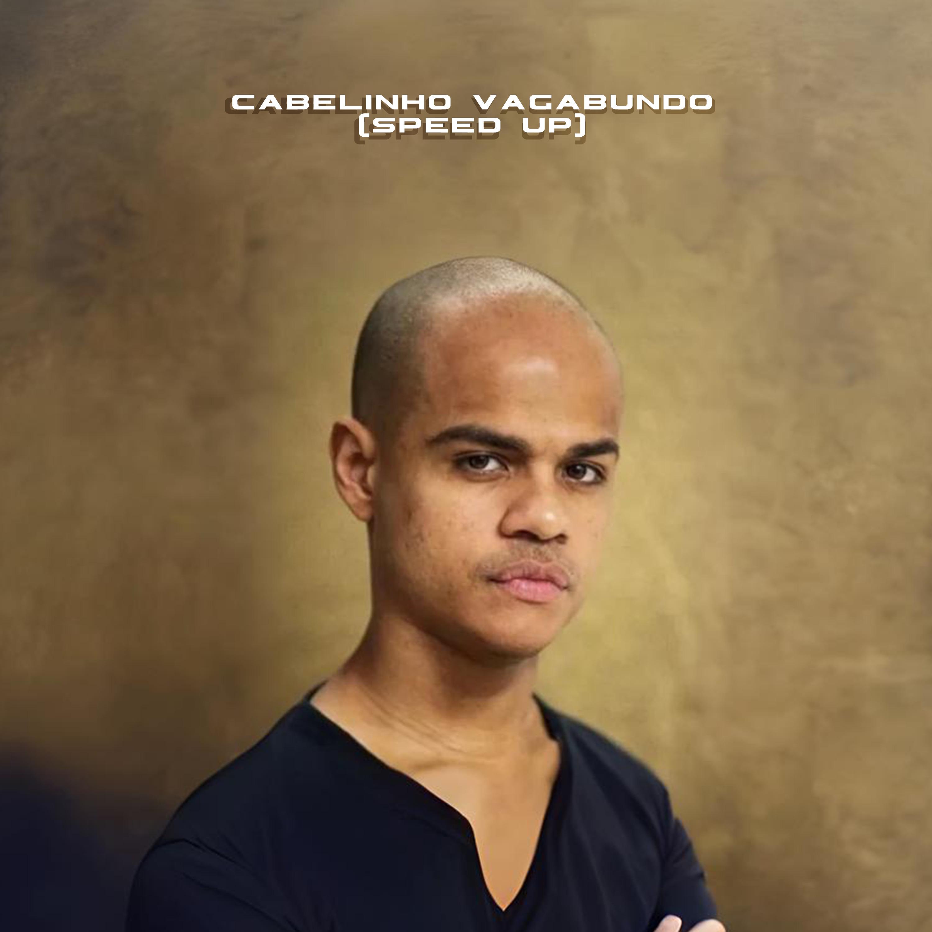 Постер альбома Cabelinho Vagabundo (Speed Up)