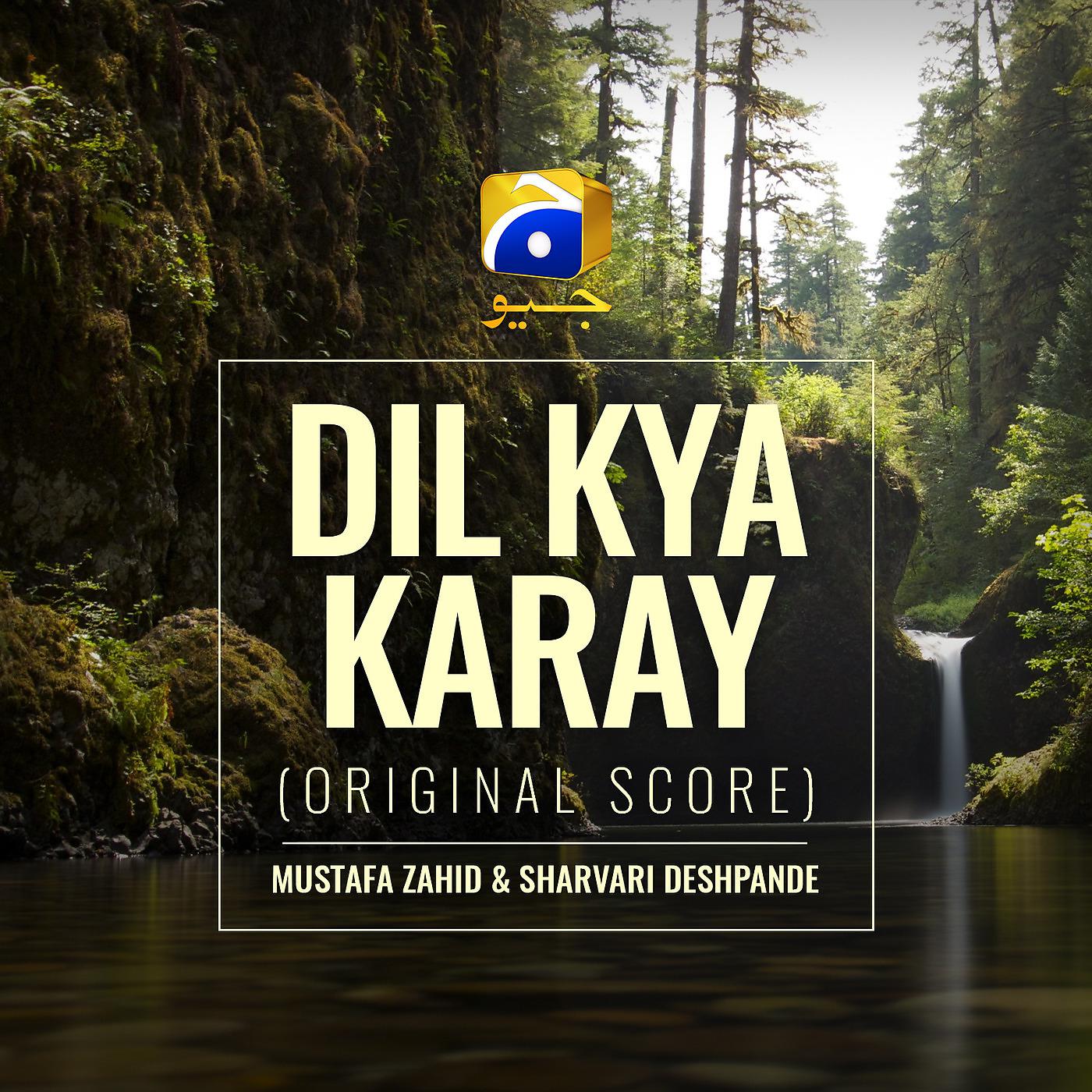 Постер альбома Dil Kya Karay (Original Score)