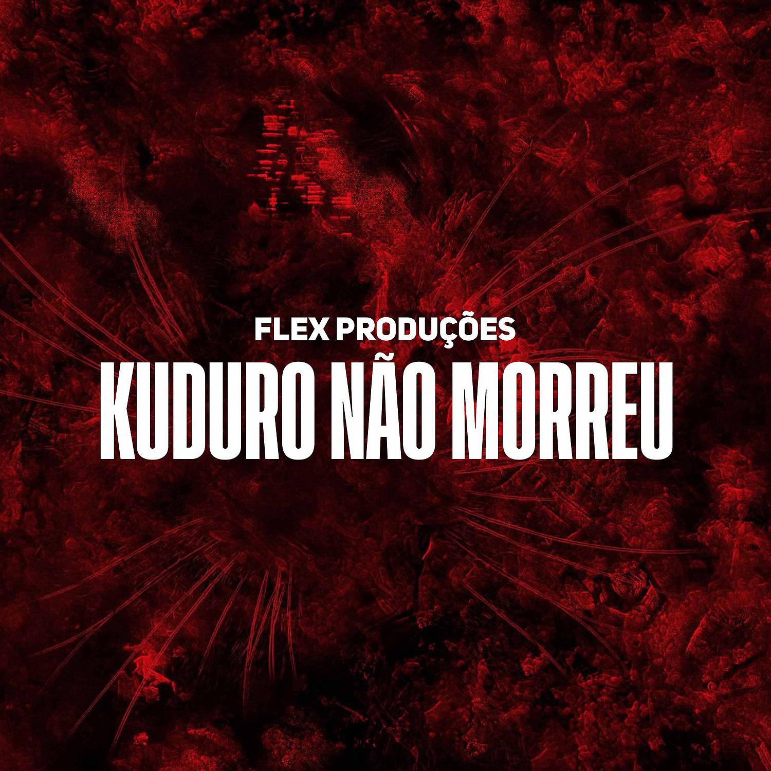 Постер альбома Kuduro Não Morreu