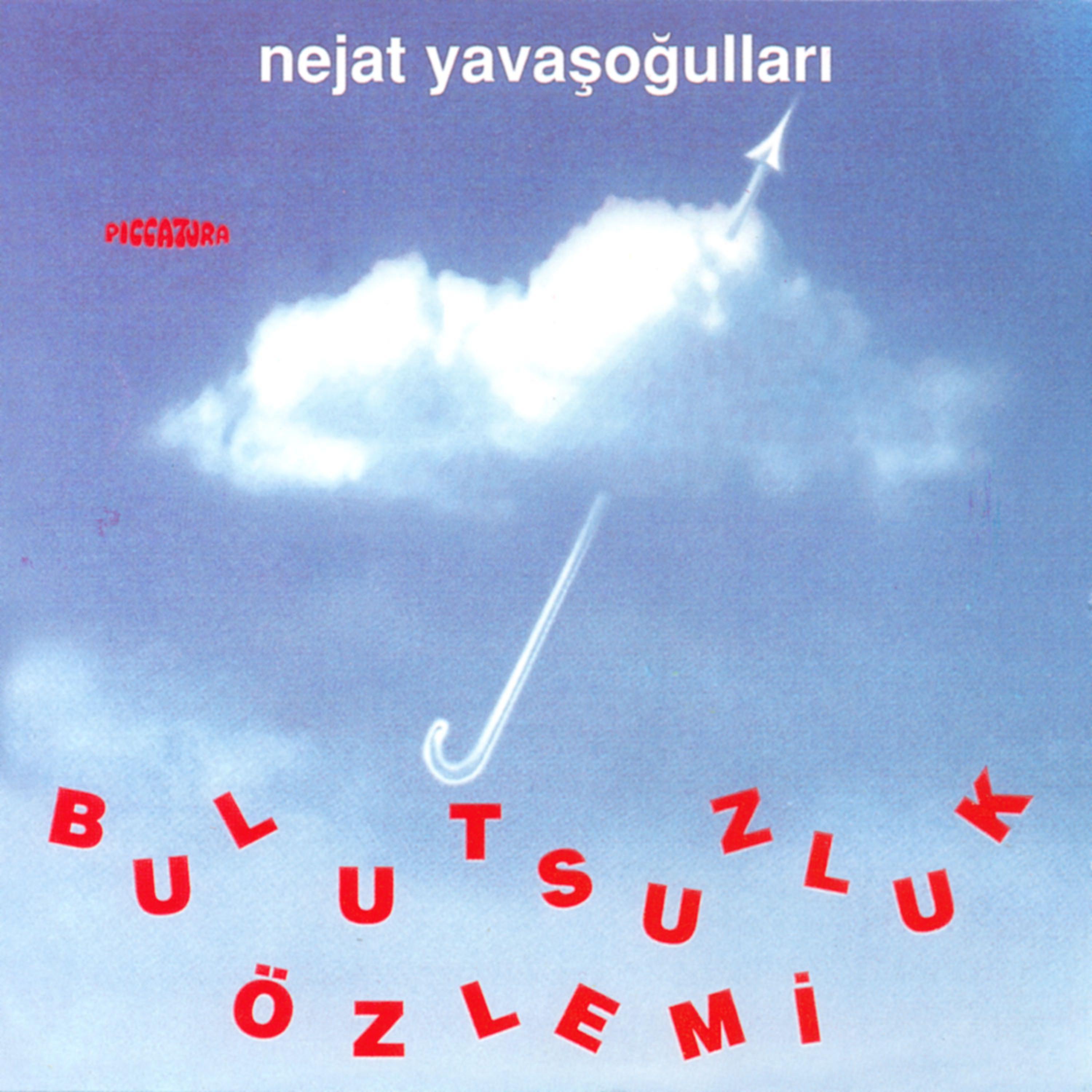 Постер альбома Bulutsuzluk Özlemi