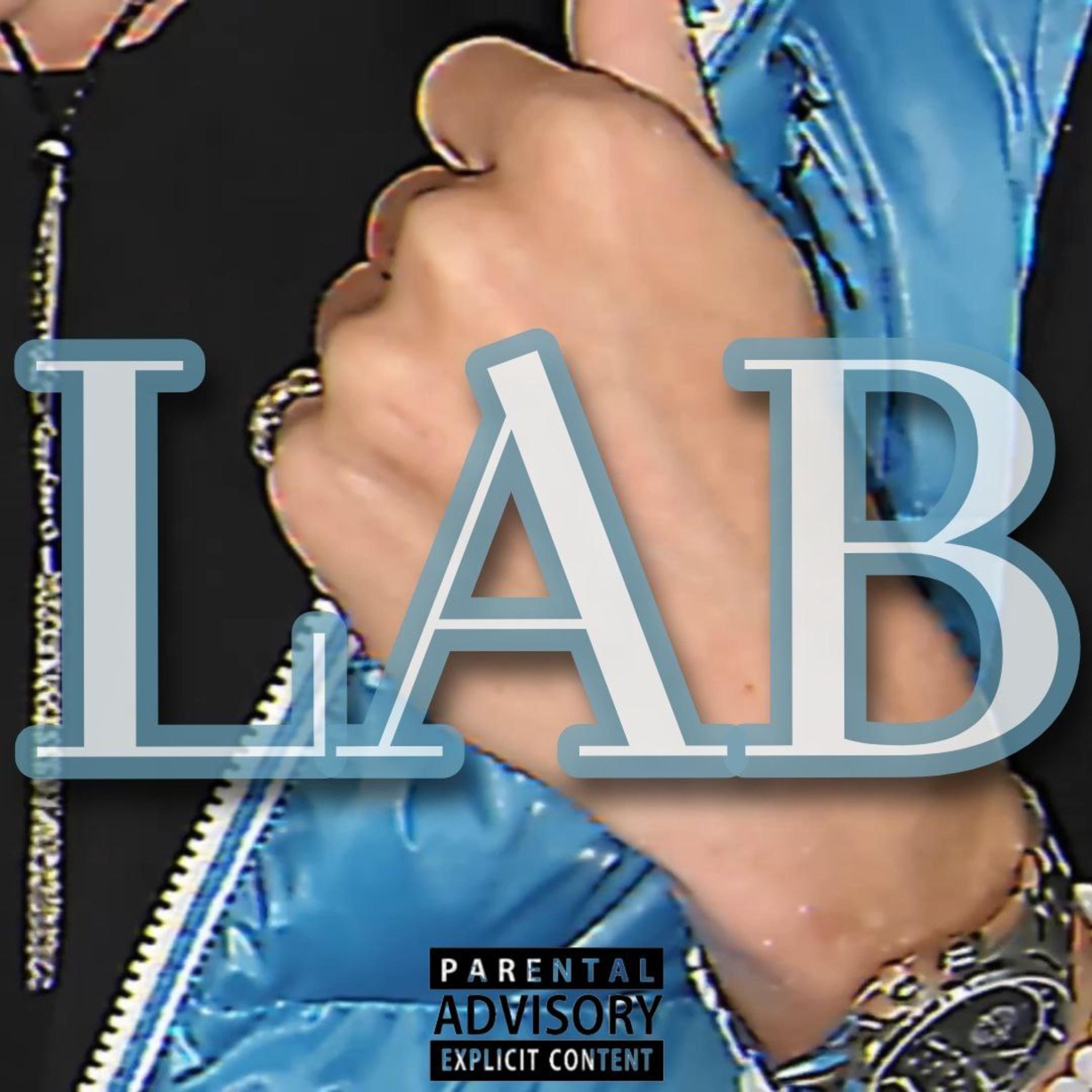 Постер альбома Lab