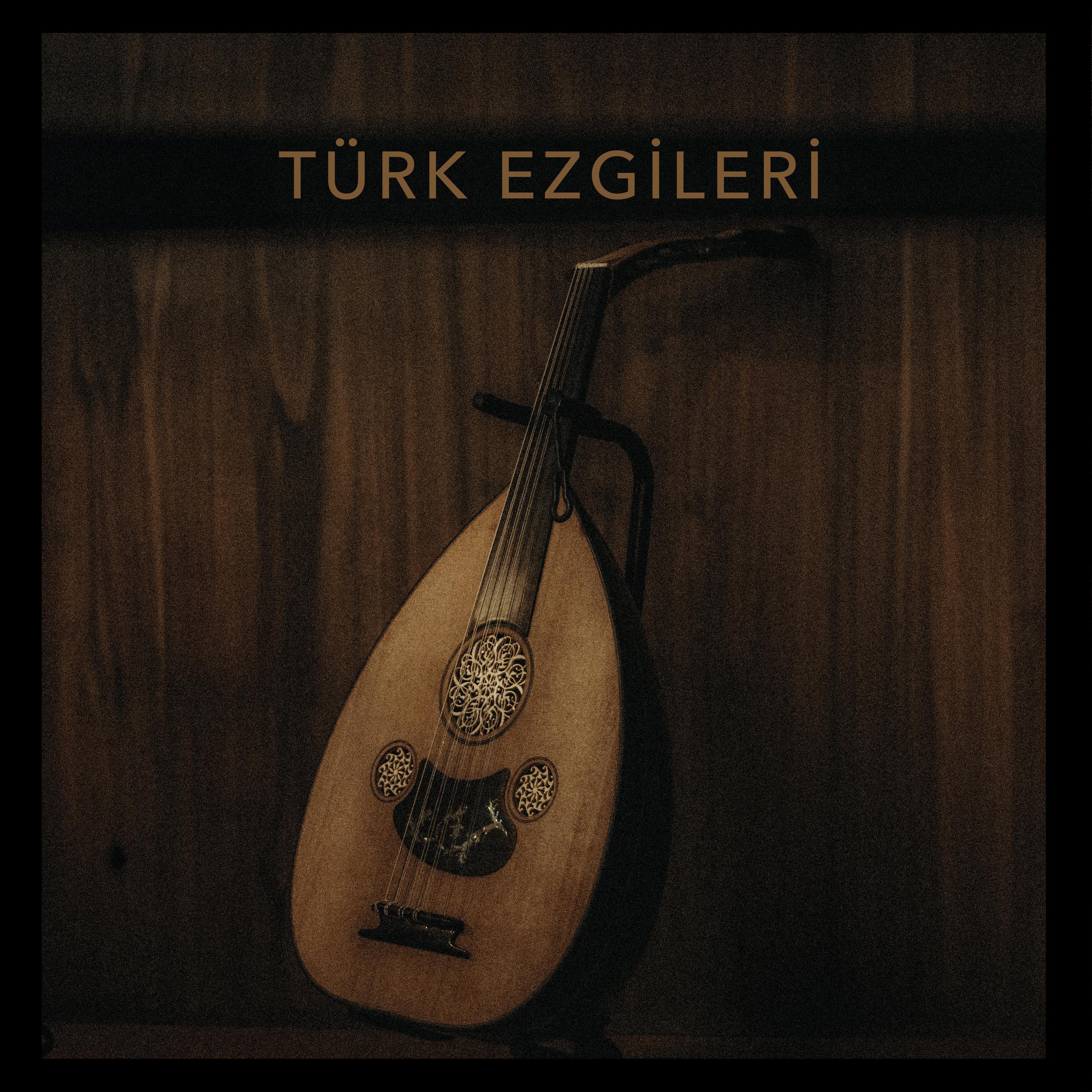 Постер альбома Türk Ezgileri