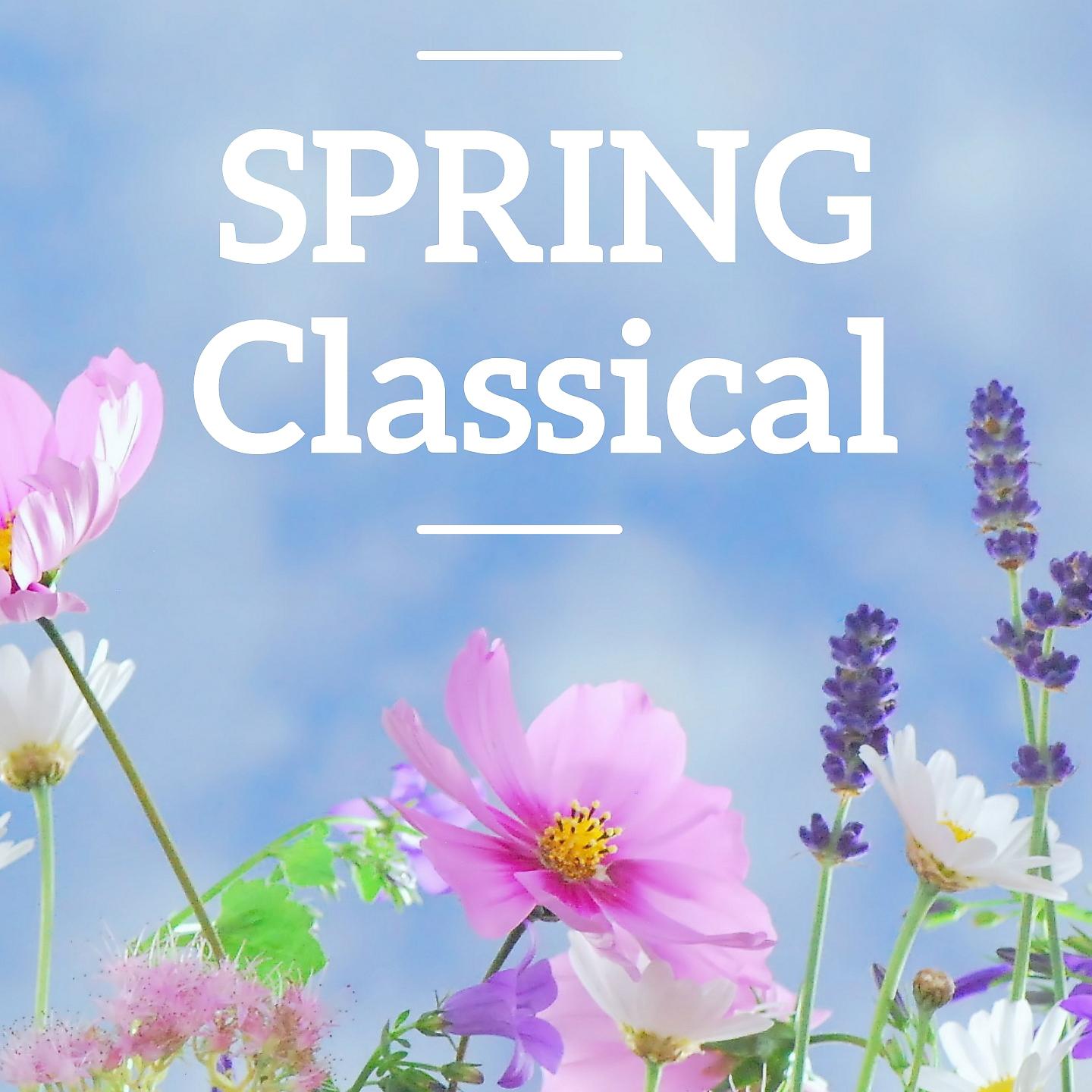 Постер альбома Spring Classical