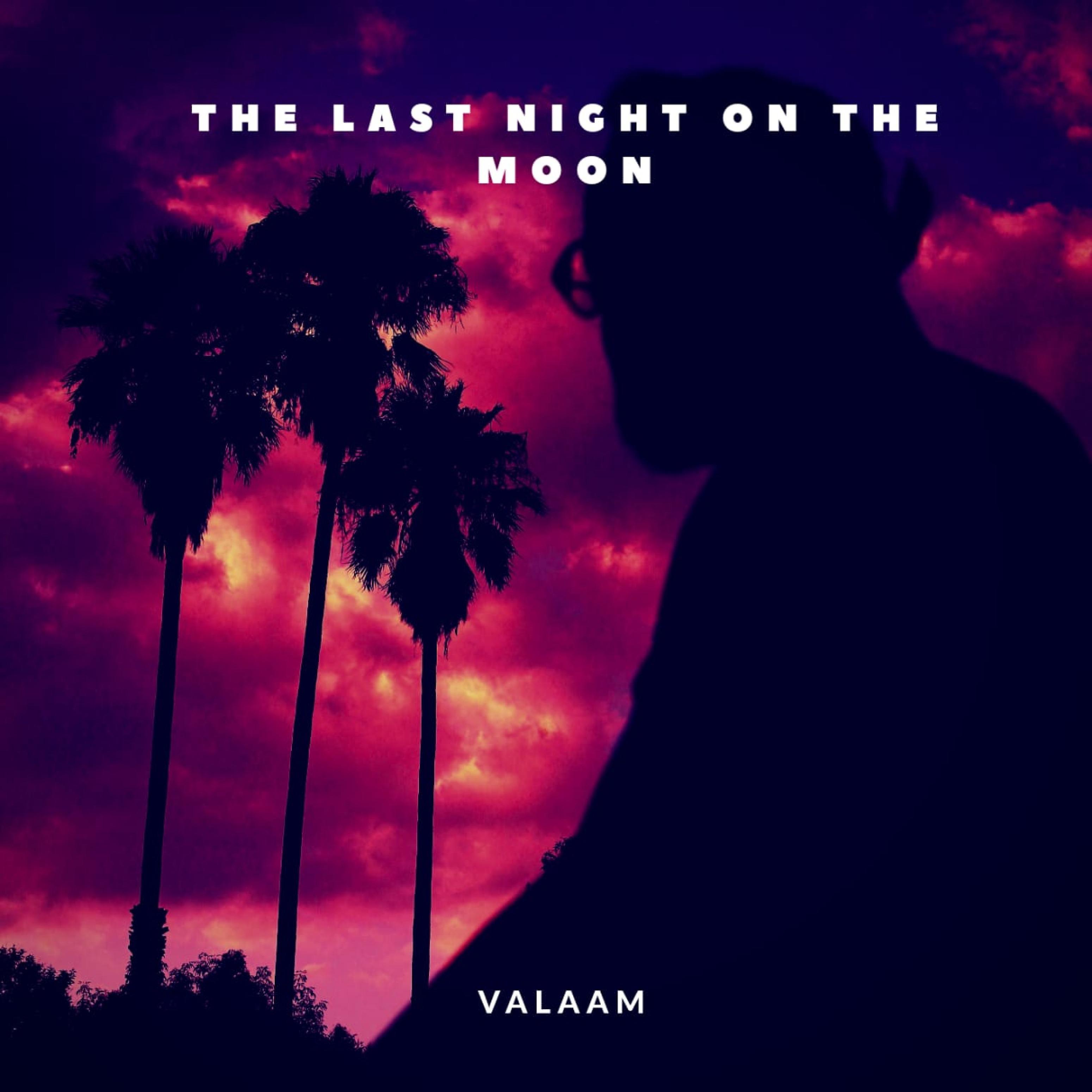 Постер альбома The Last Night on the Moon