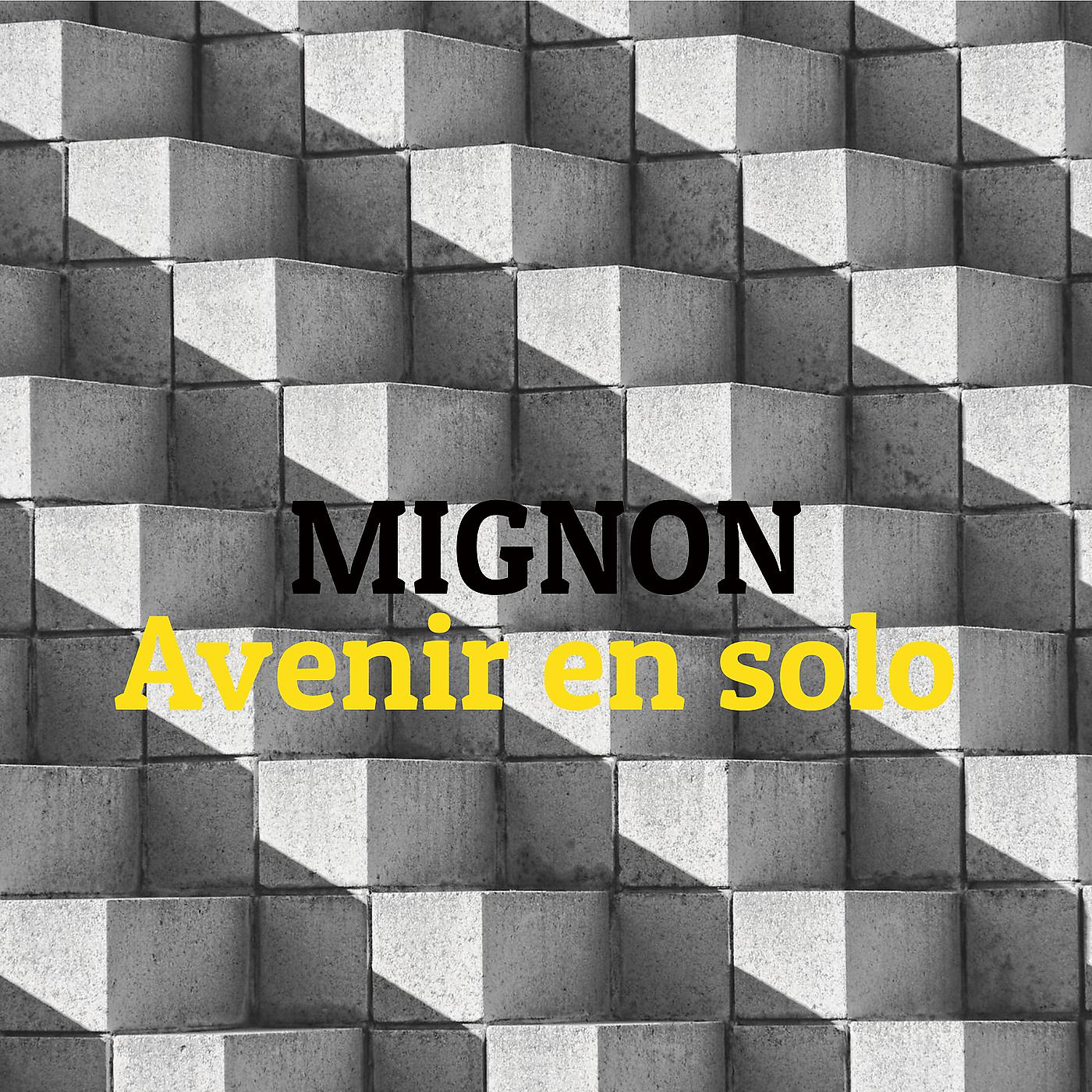 Постер альбома Avenir en solo