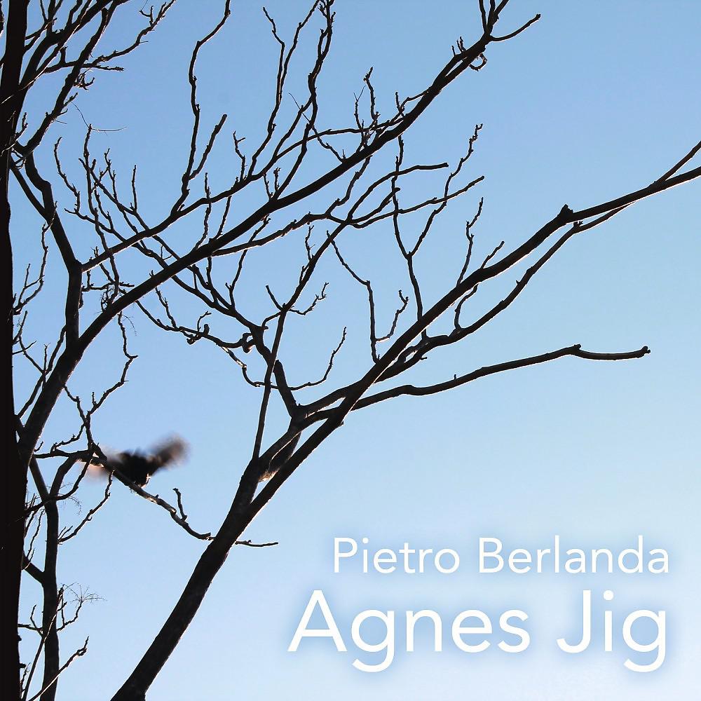 Постер альбома Agnes Jig