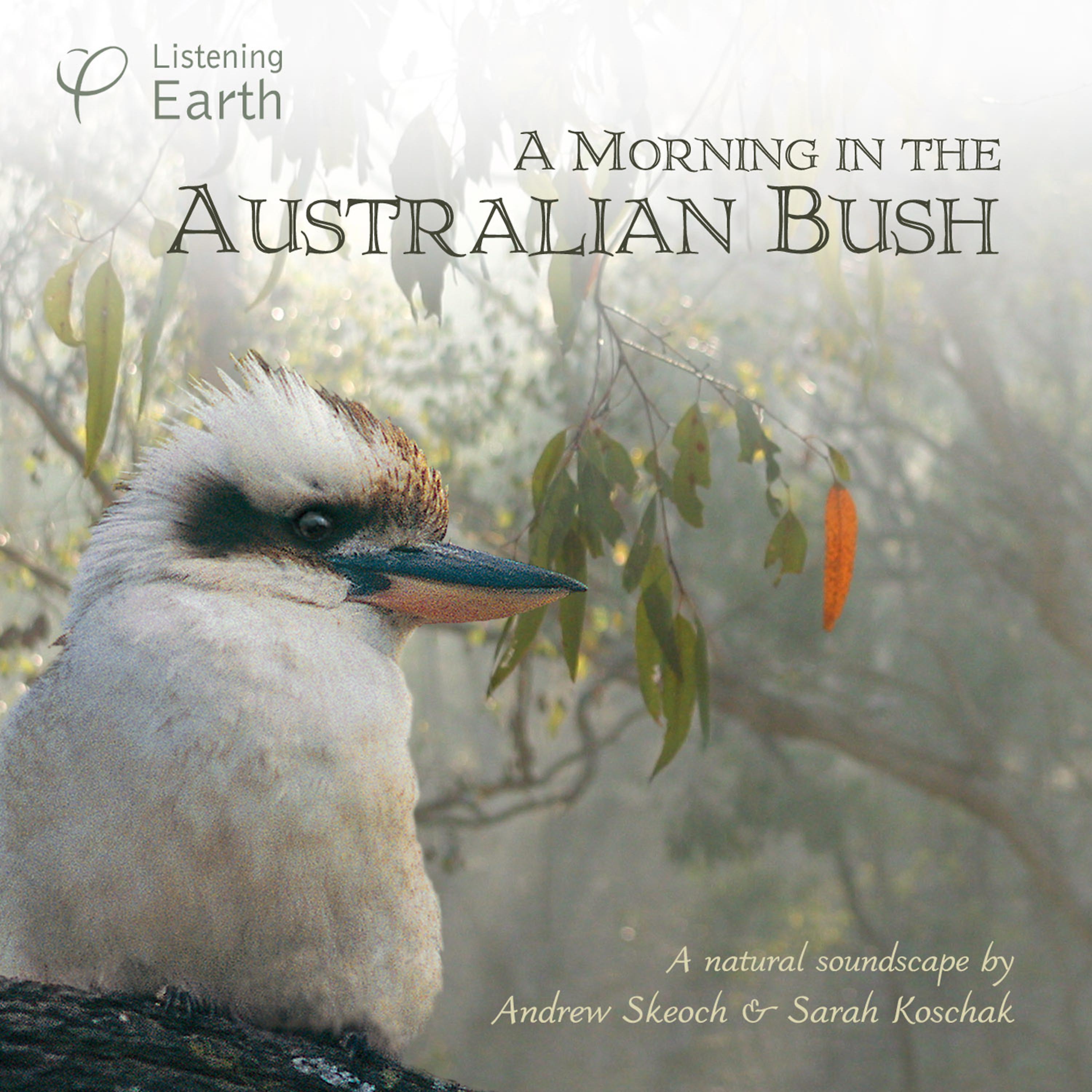 Постер альбома A Morning in the Australian Bush