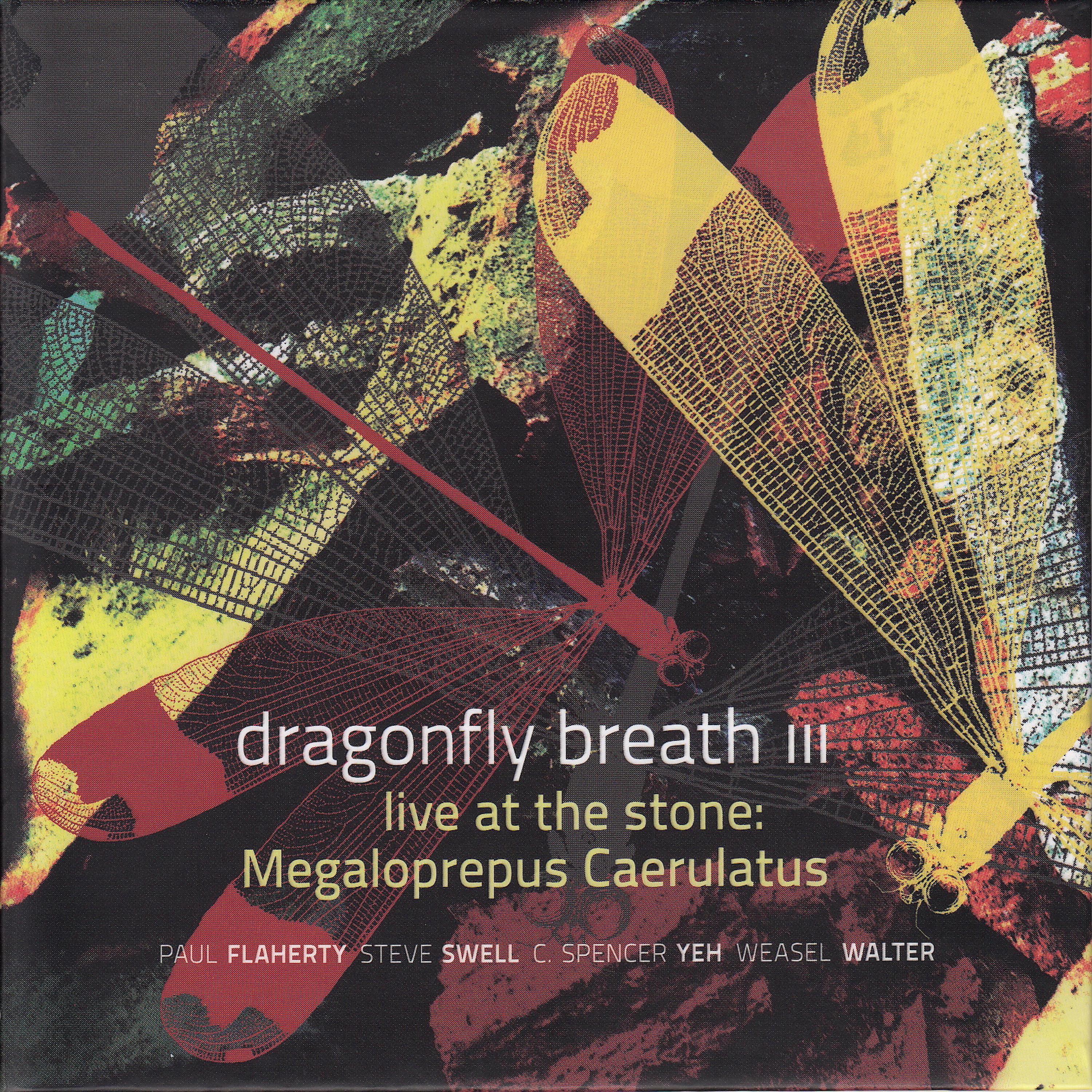 Постер альбома Live at the Stone: Megaloprepus Caerulatus