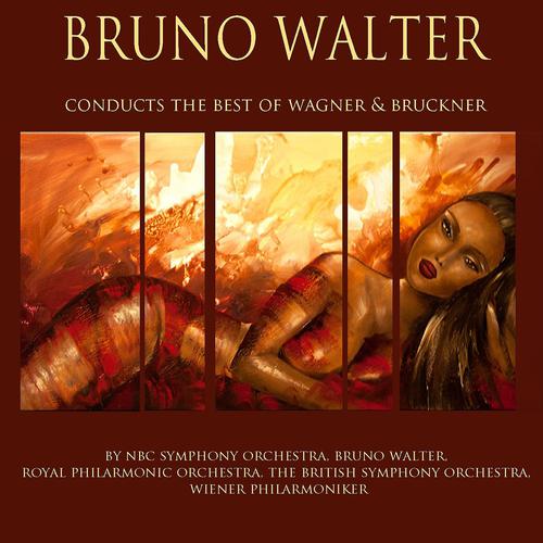 Постер альбома Bruno Walter Conducts the Best of Wagner & Bruckner