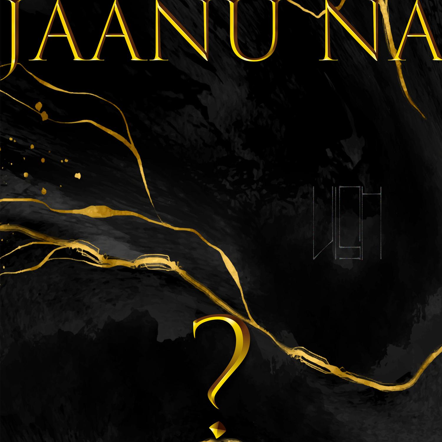 Постер альбома Jaanu na