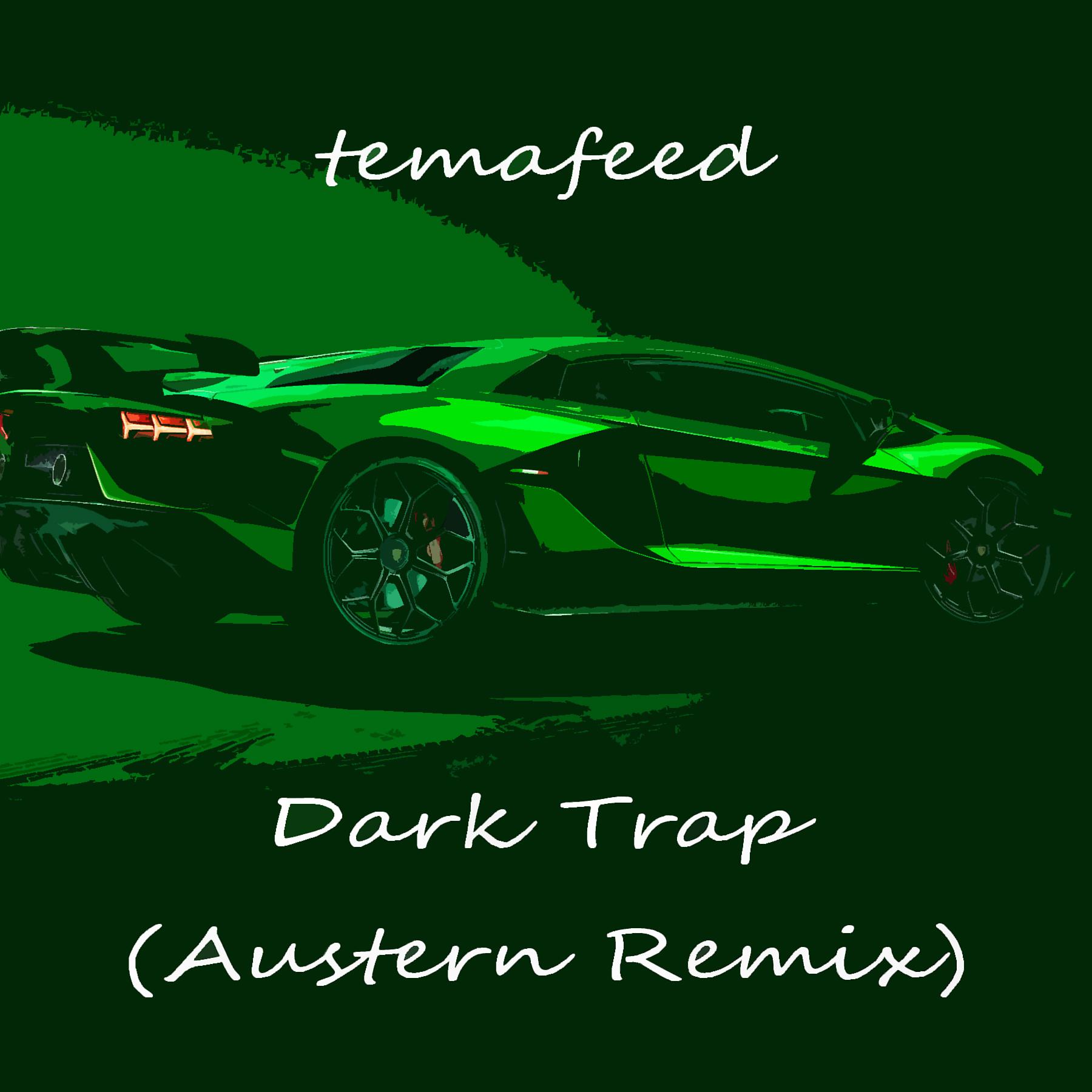 Постер альбома Dark Trap (Austern Remix)