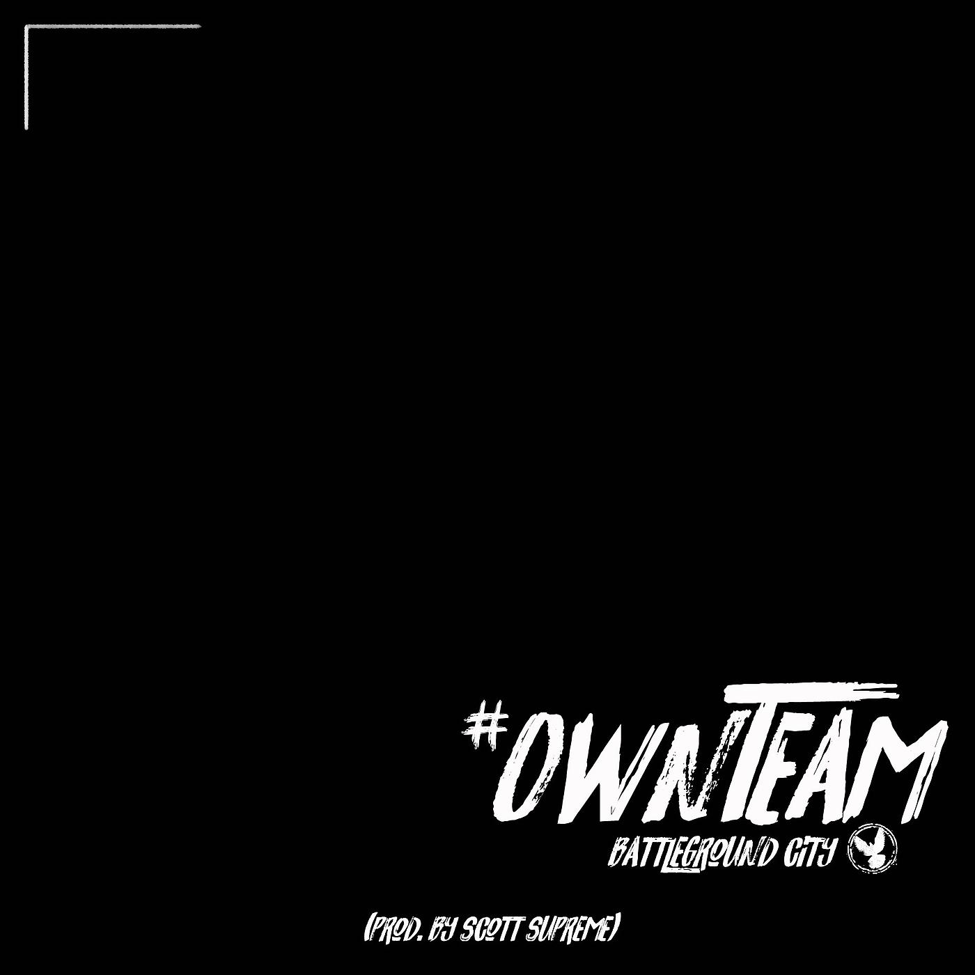Постер альбома Own Team