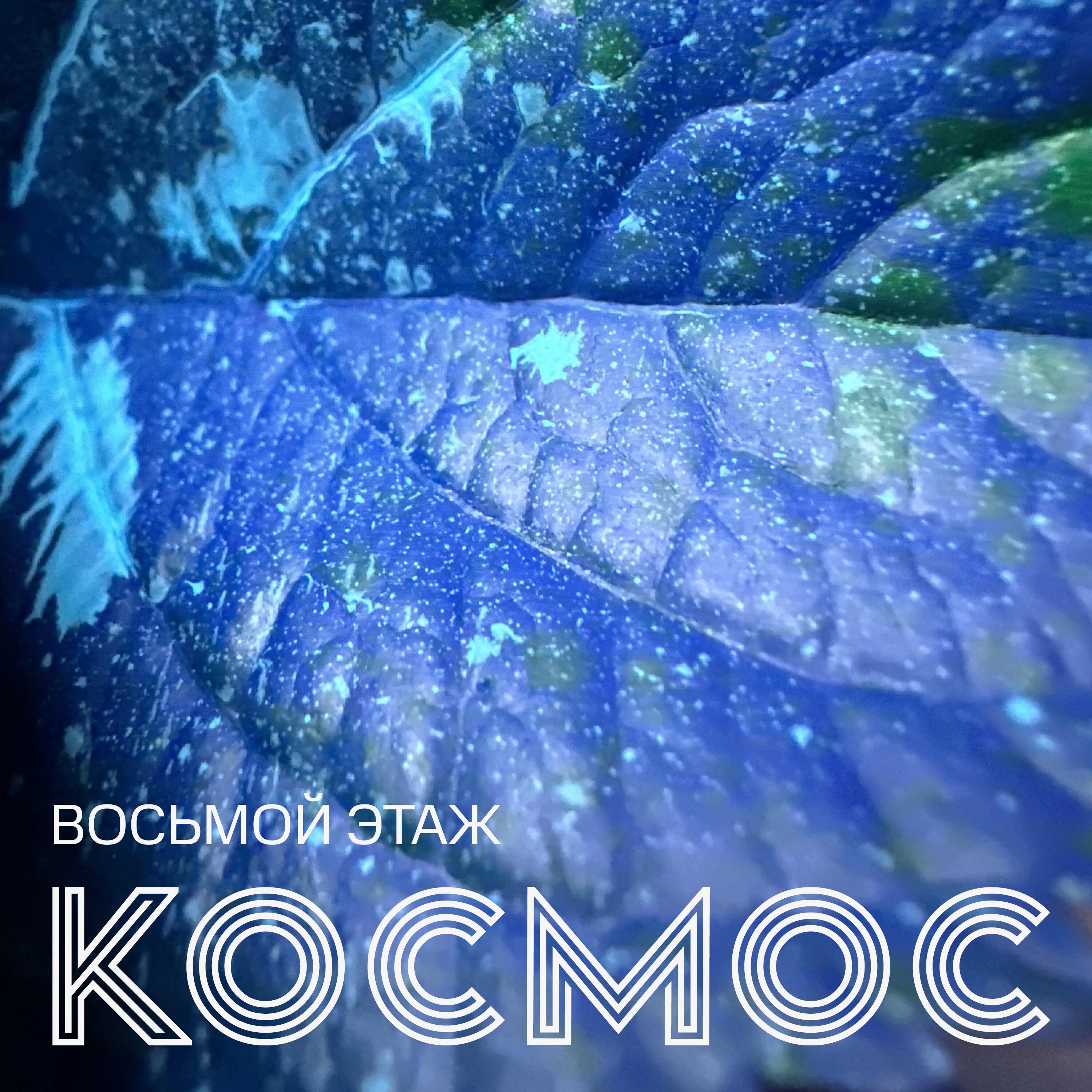 Постер альбома Космос