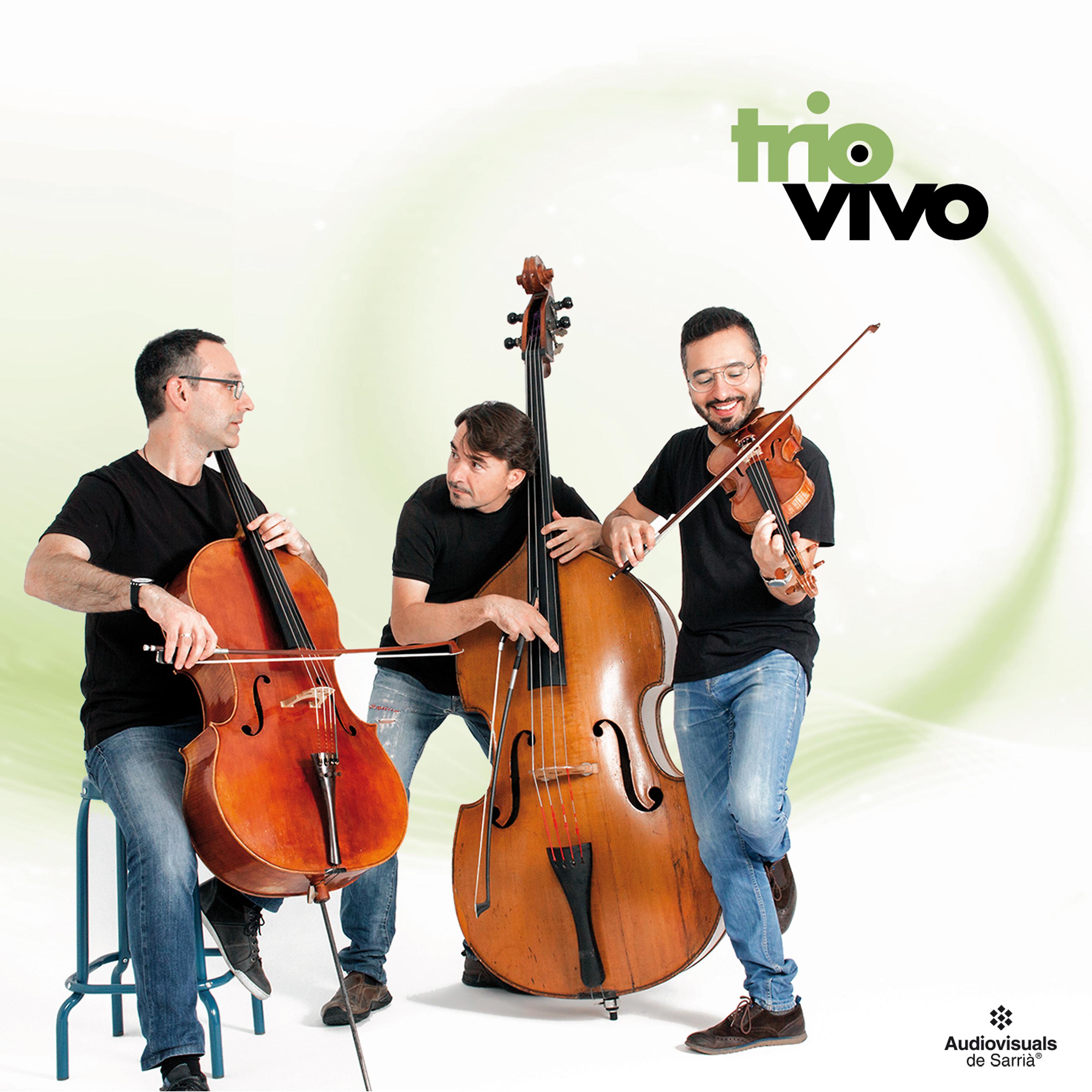 Постер альбома Trio Vivo