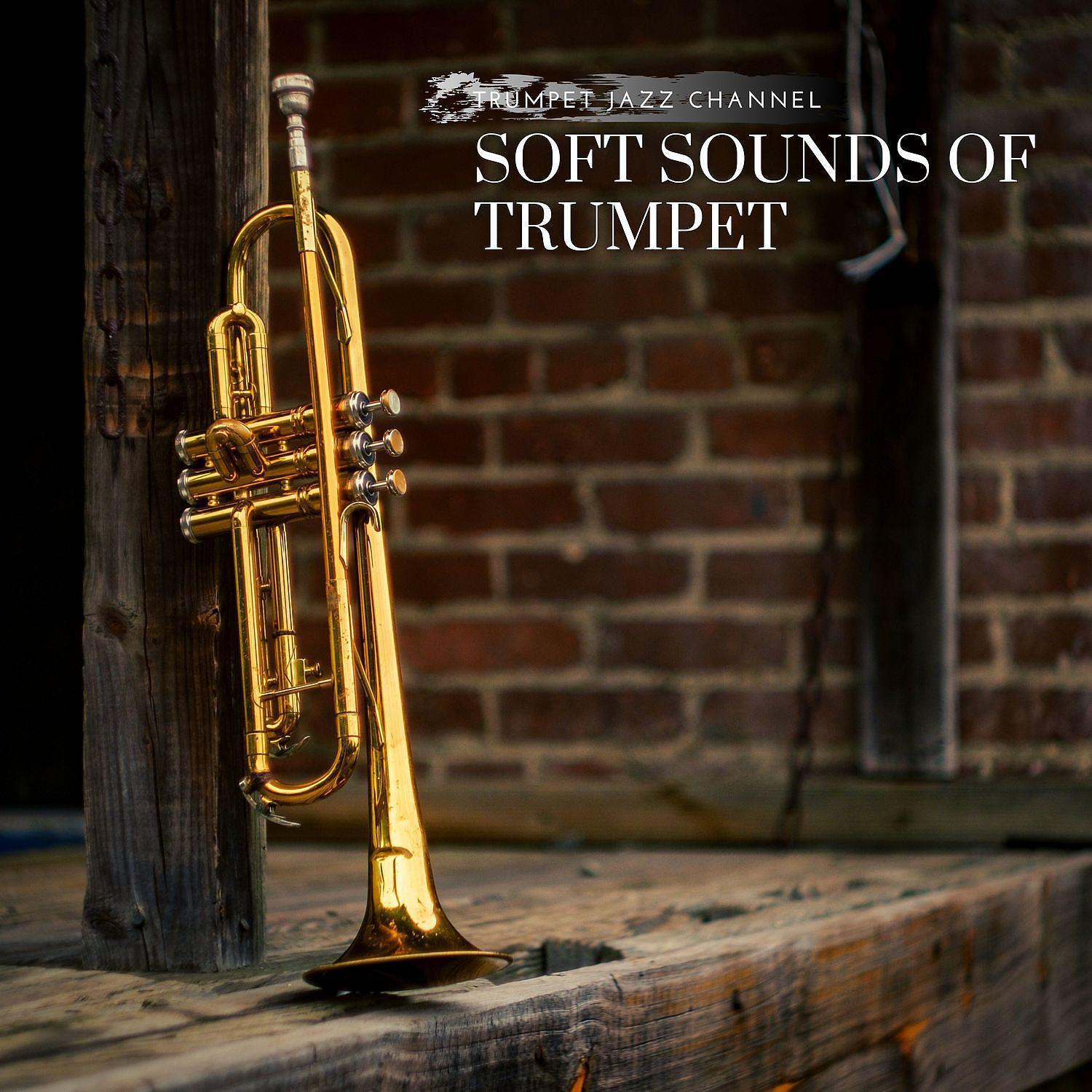 Постер альбома Soft Sounds of Trumpet, Rest & Relax
