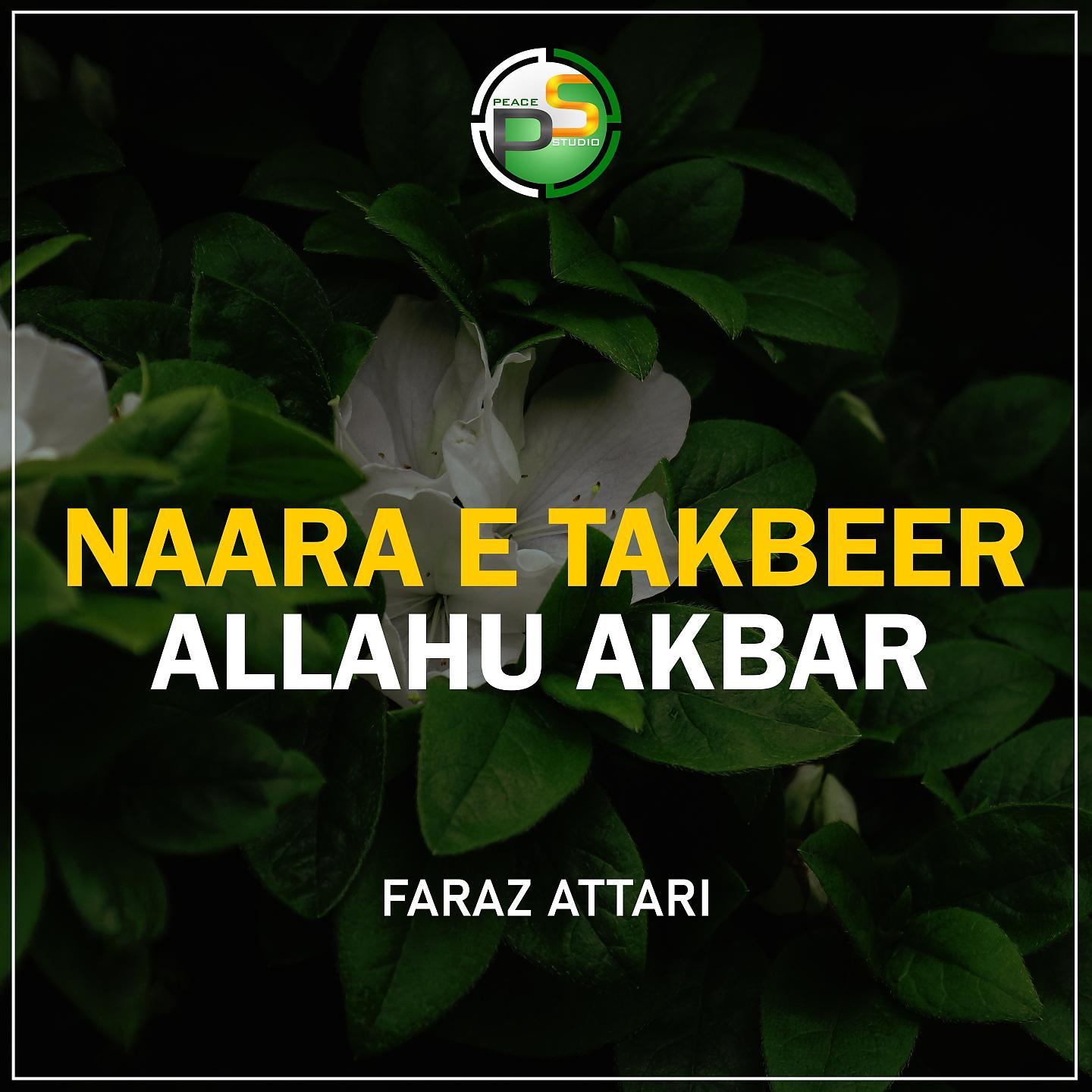 Постер альбома Naara E Takbeer Allahu Akbar