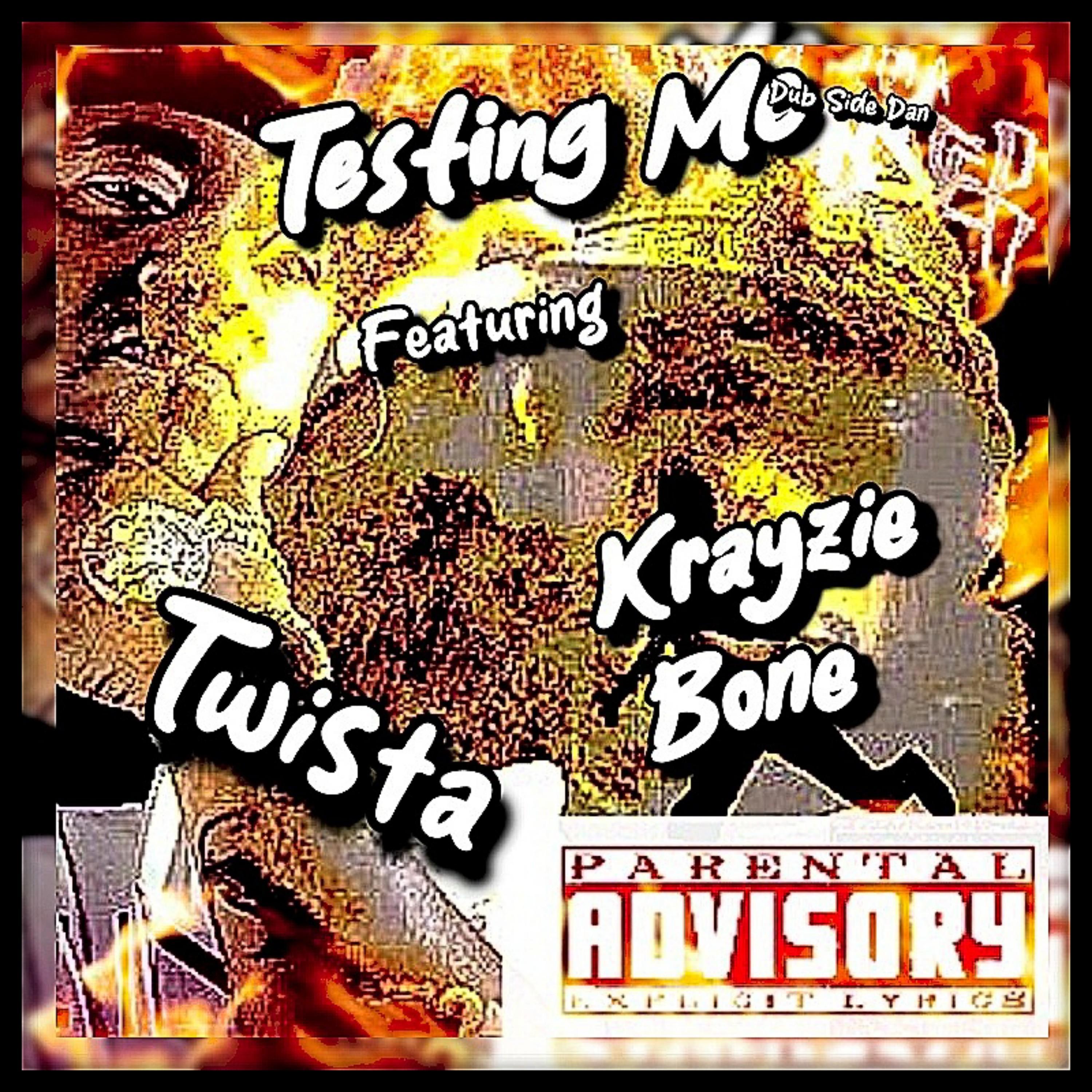 Постер альбома Testing Me (feat. Krayzie Bone & Twista)