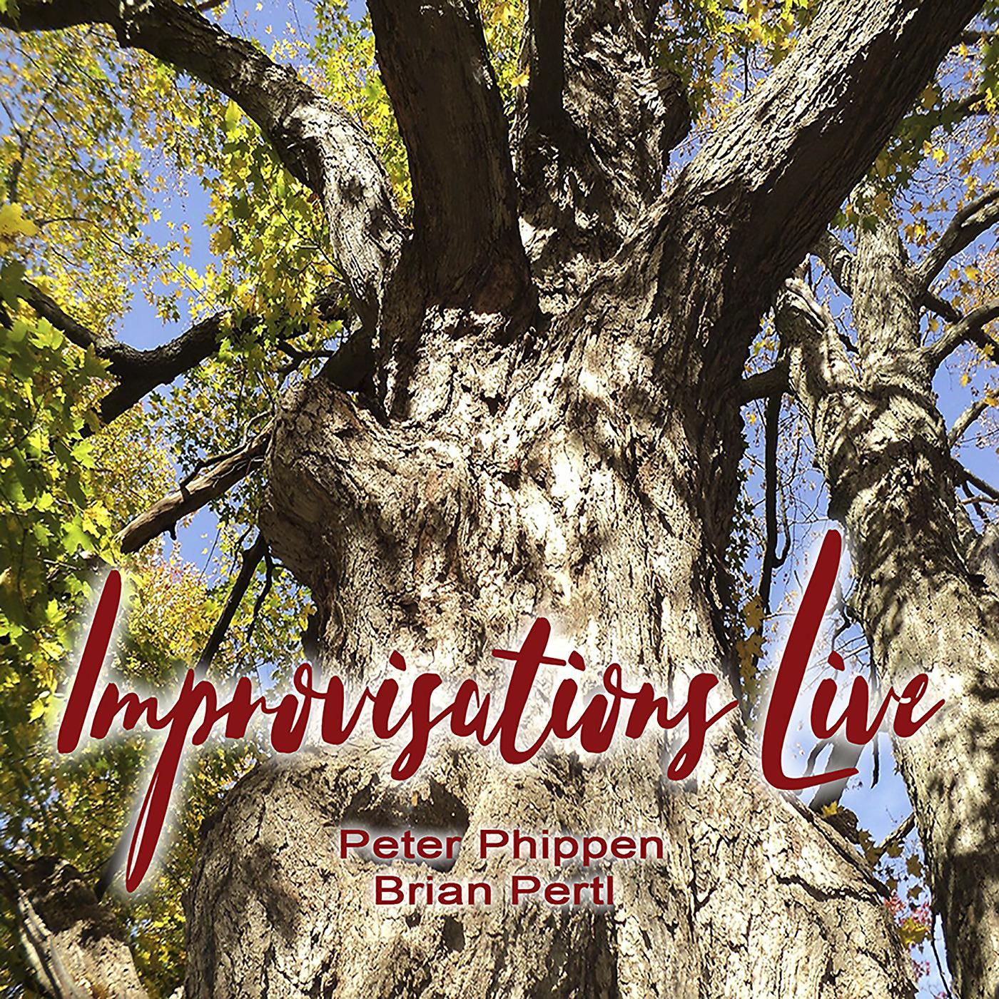 Постер альбома Improvisations (Live)