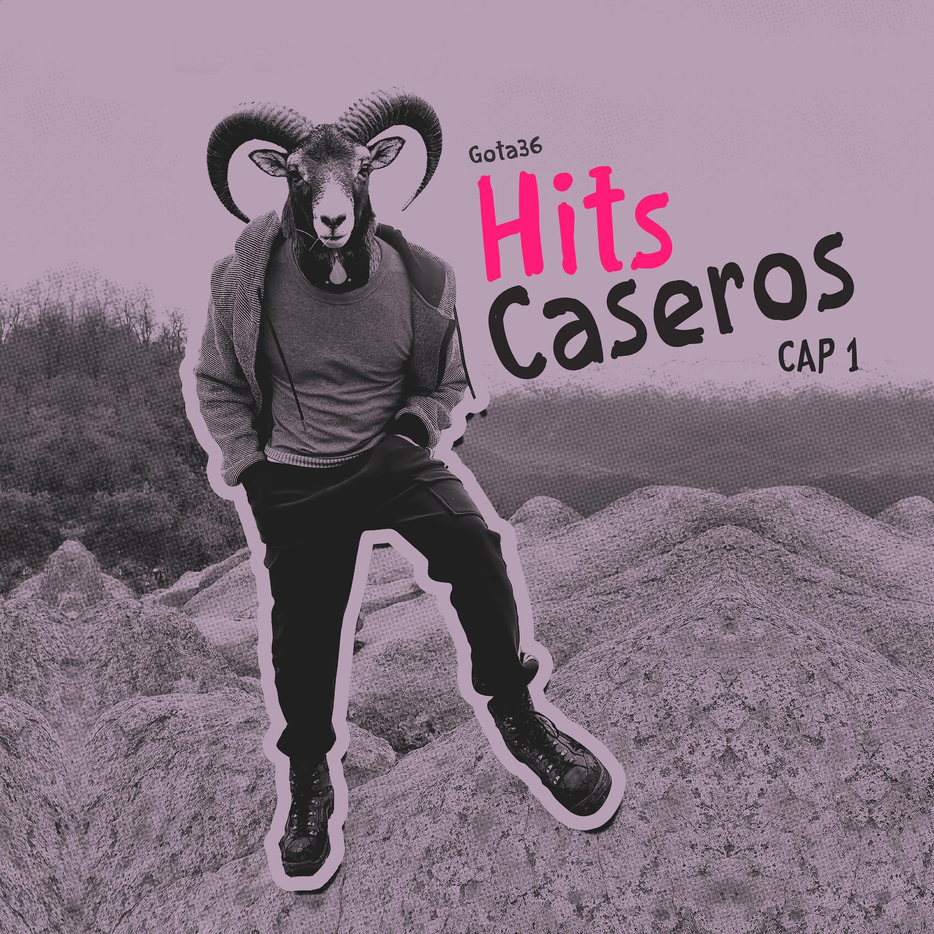 Постер альбома Hits Caseros Cap1