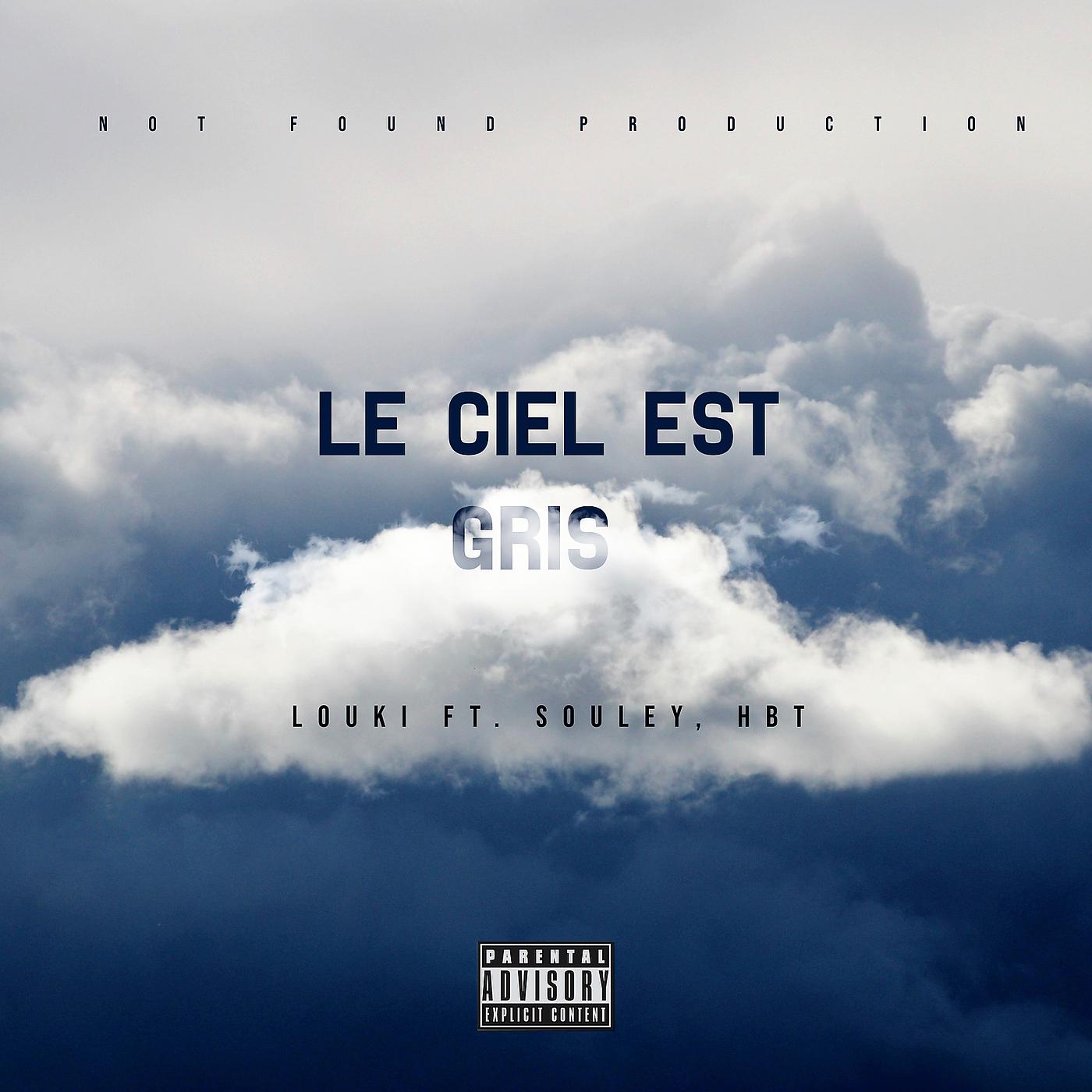 Постер альбома Le Ciel Est Gris