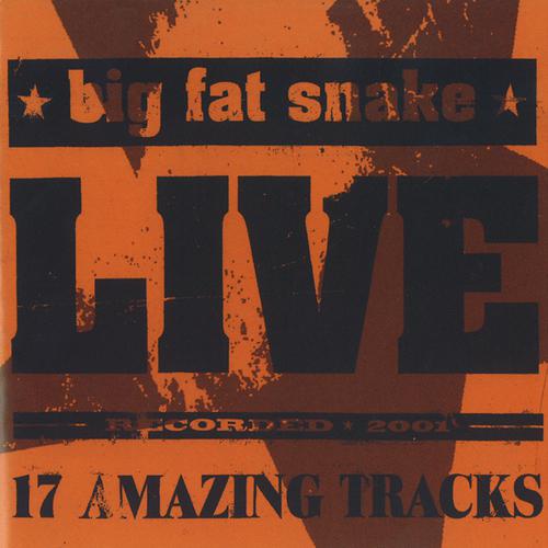 Постер альбома Live (17 Amazing Tracks)
