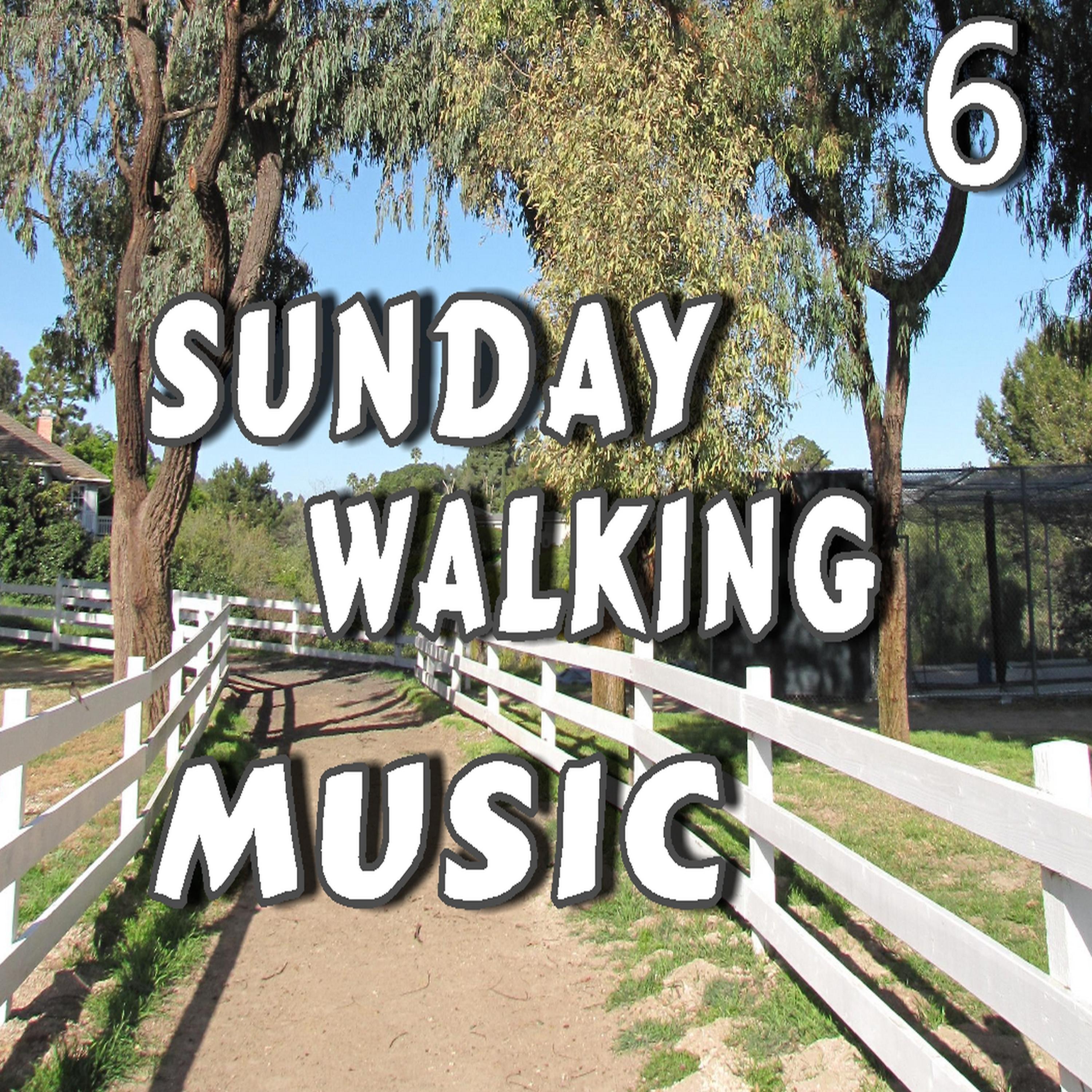 Постер альбома Sunday Walking Music, Vol. 6 (Instrumental)
