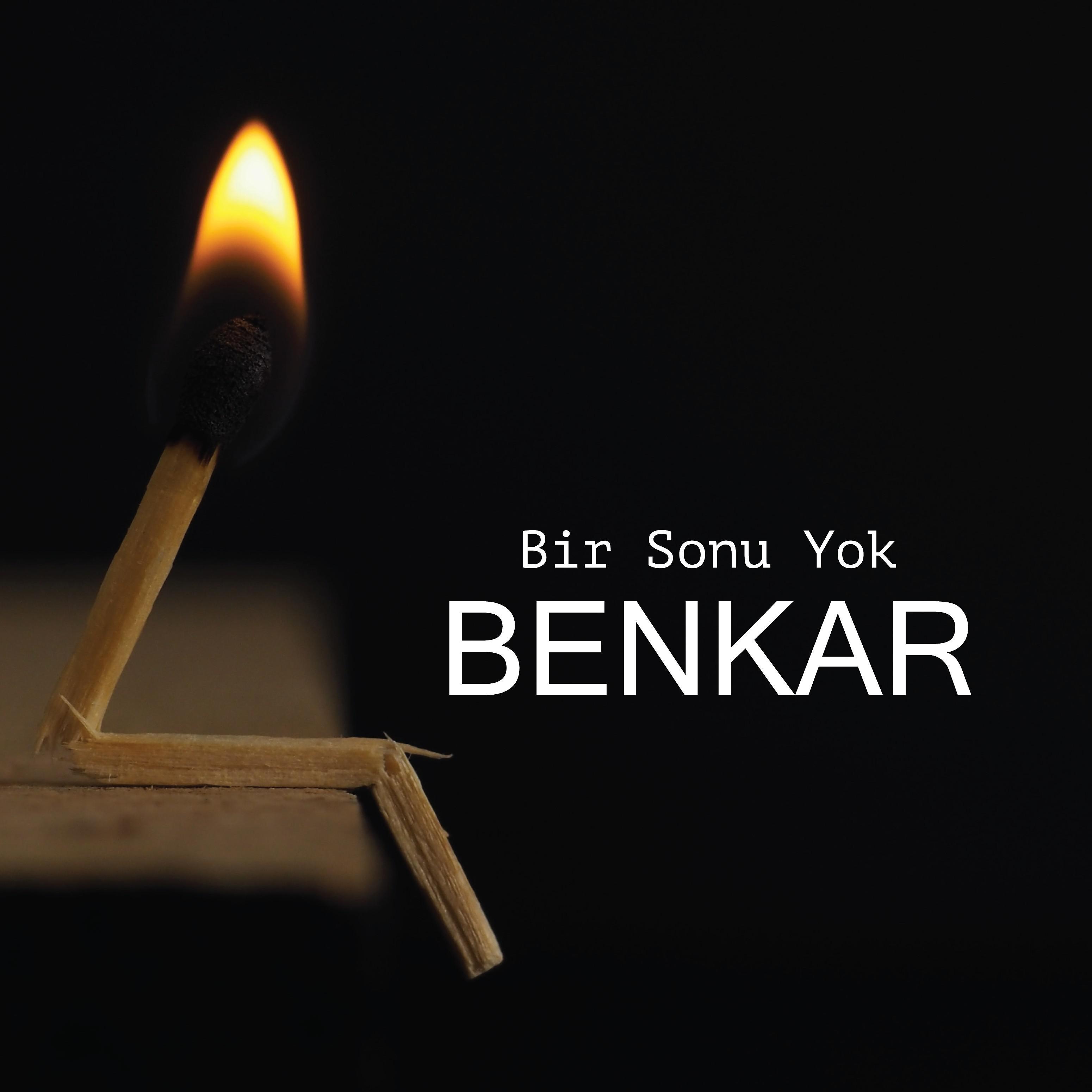 Постер альбома Bir Sonu Yok