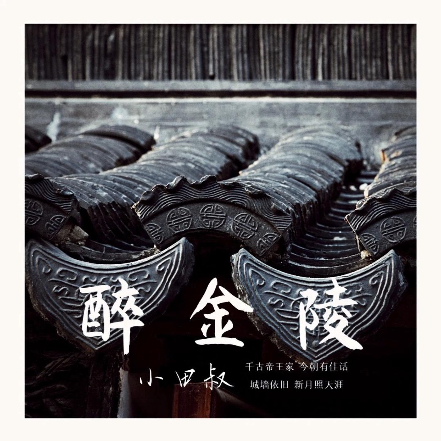 Постер альбома 醉金陵