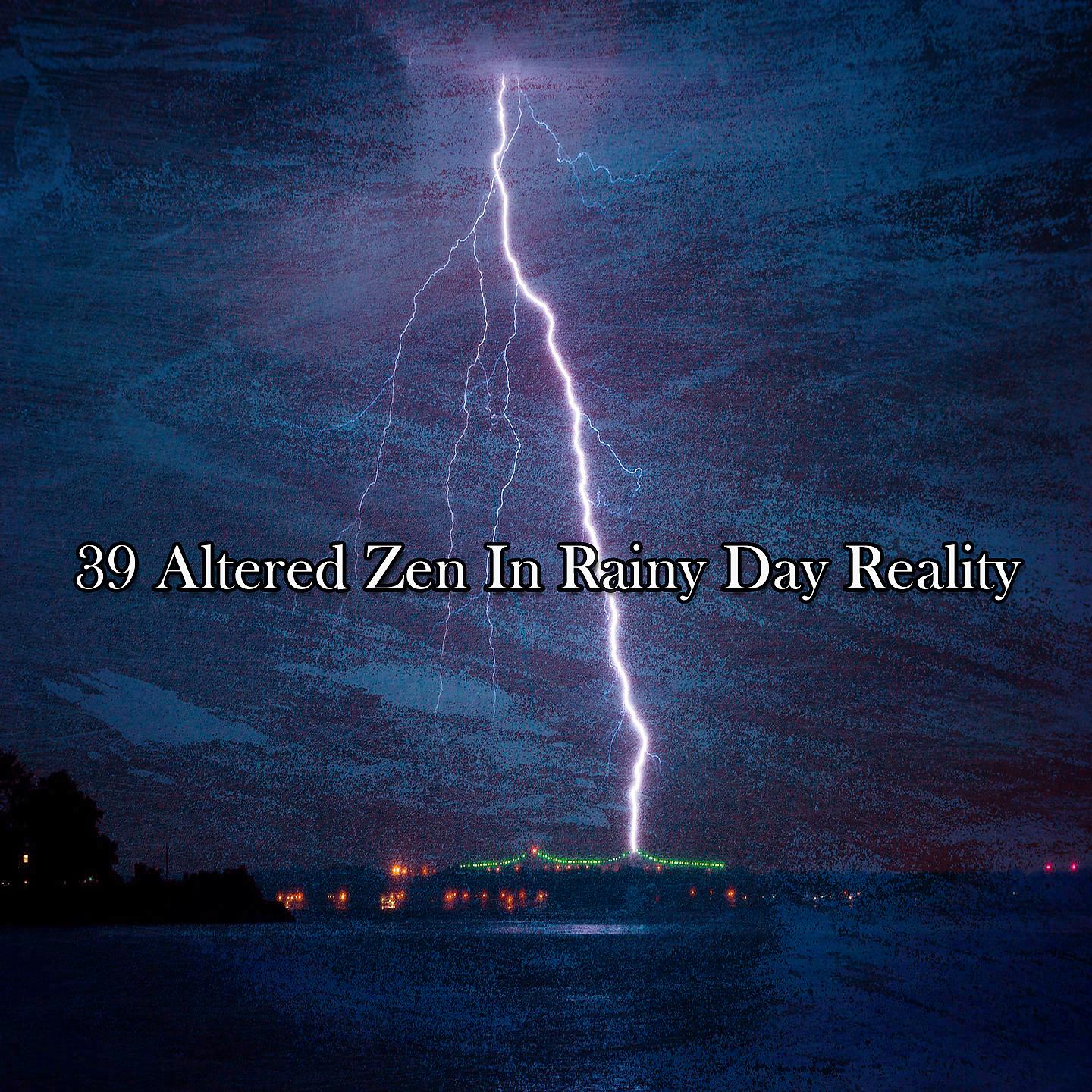 Постер альбома 39 Измененный дзен в реальности дождливого дня