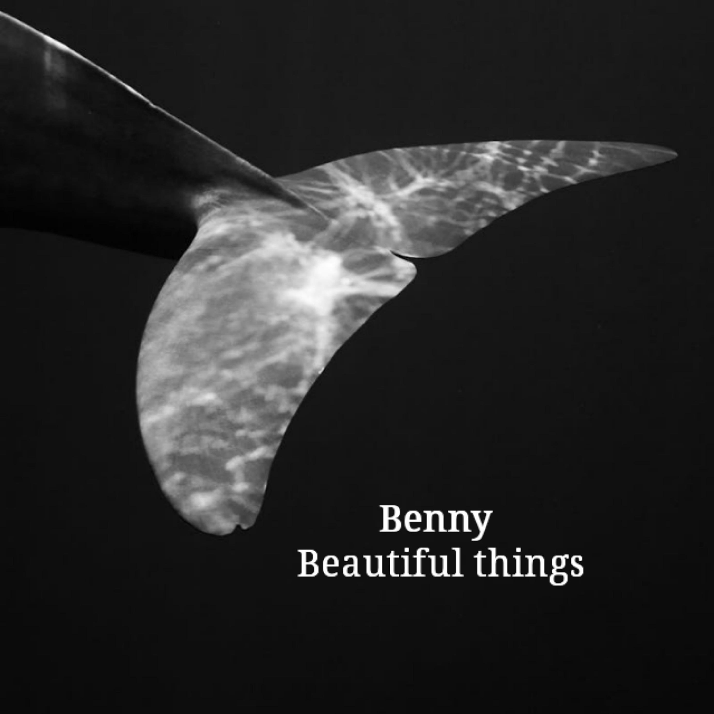 Постер альбома Beautiful things