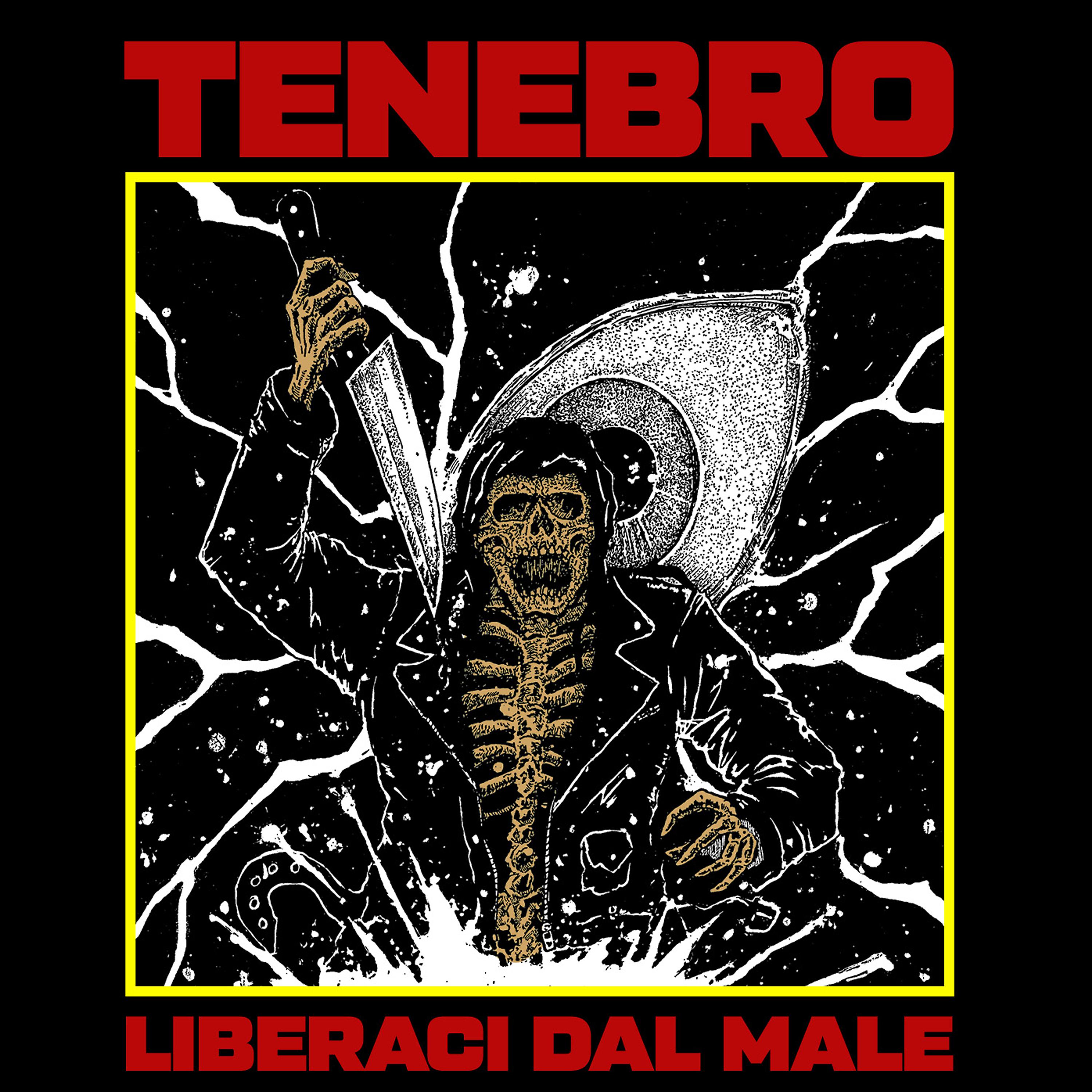 Постер альбома Liberaci dal Male