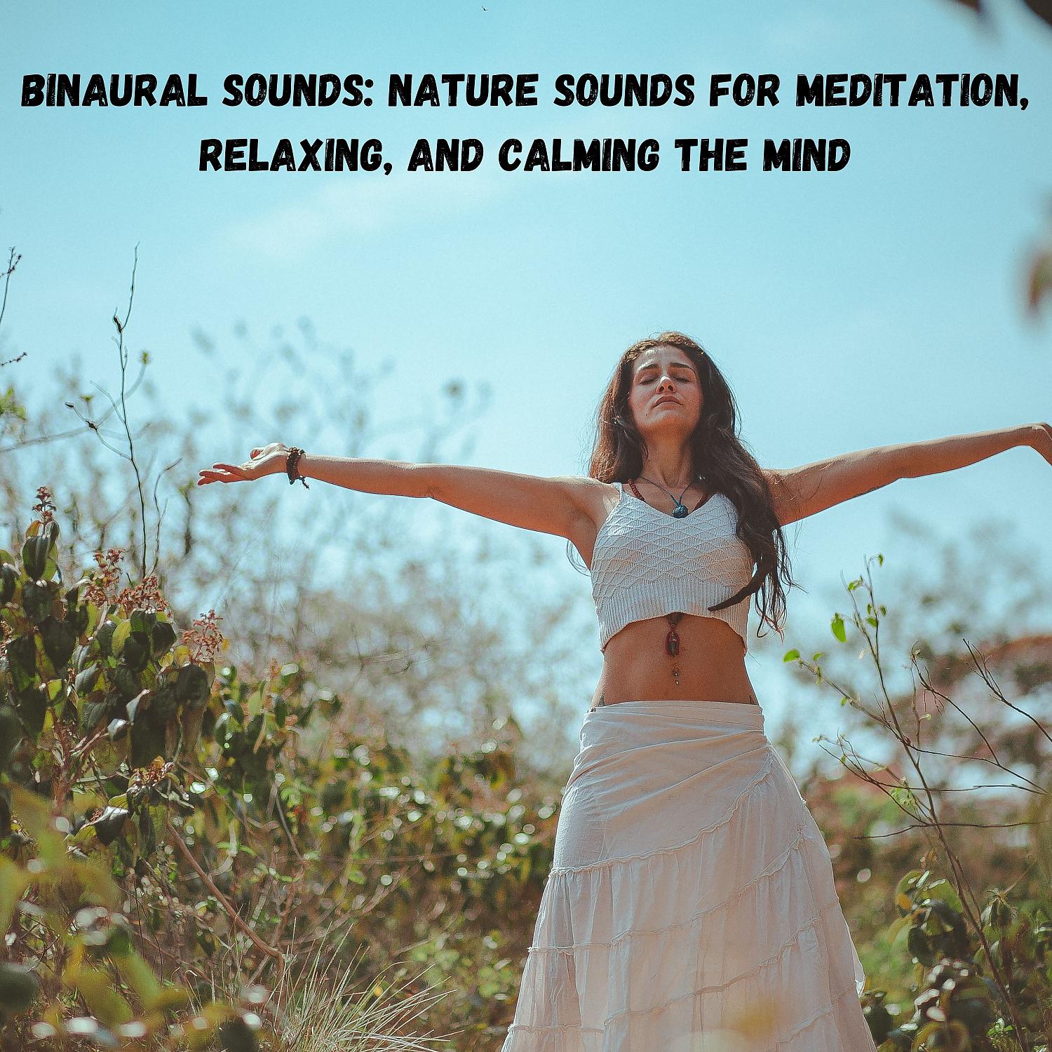 Постер альбома Binaural Sounds: Nature Sounds for Meditation, Relaxing, and Calming the Mind