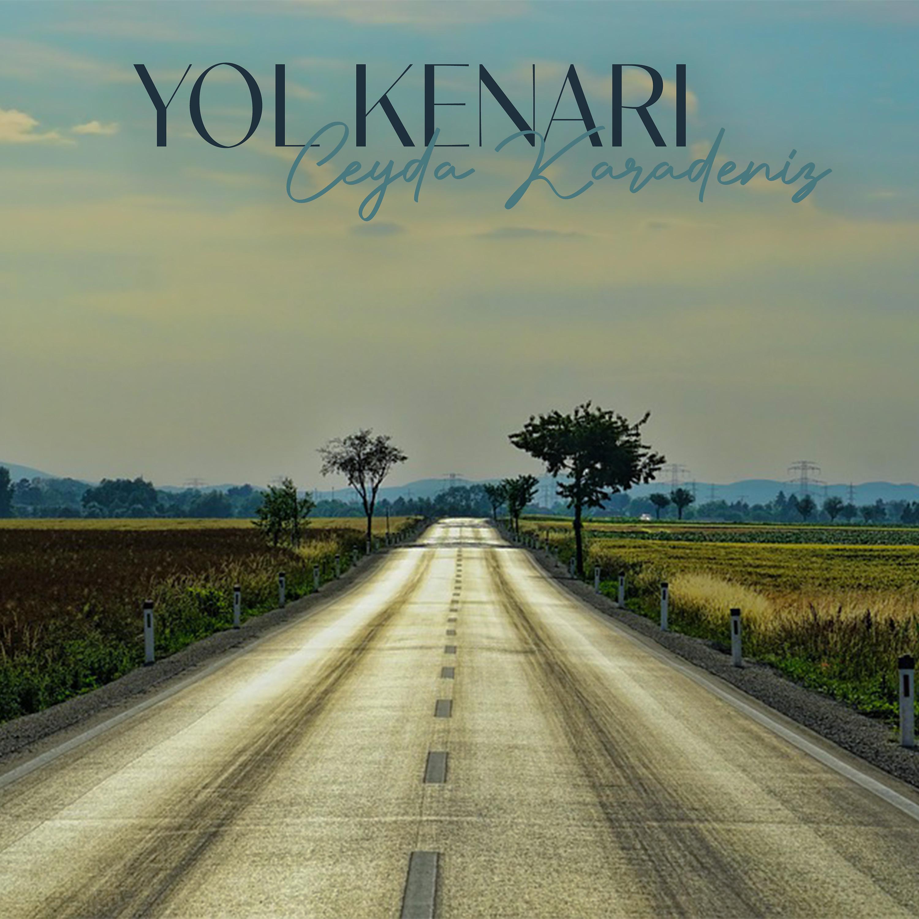Постер альбома Yol Kenarı
