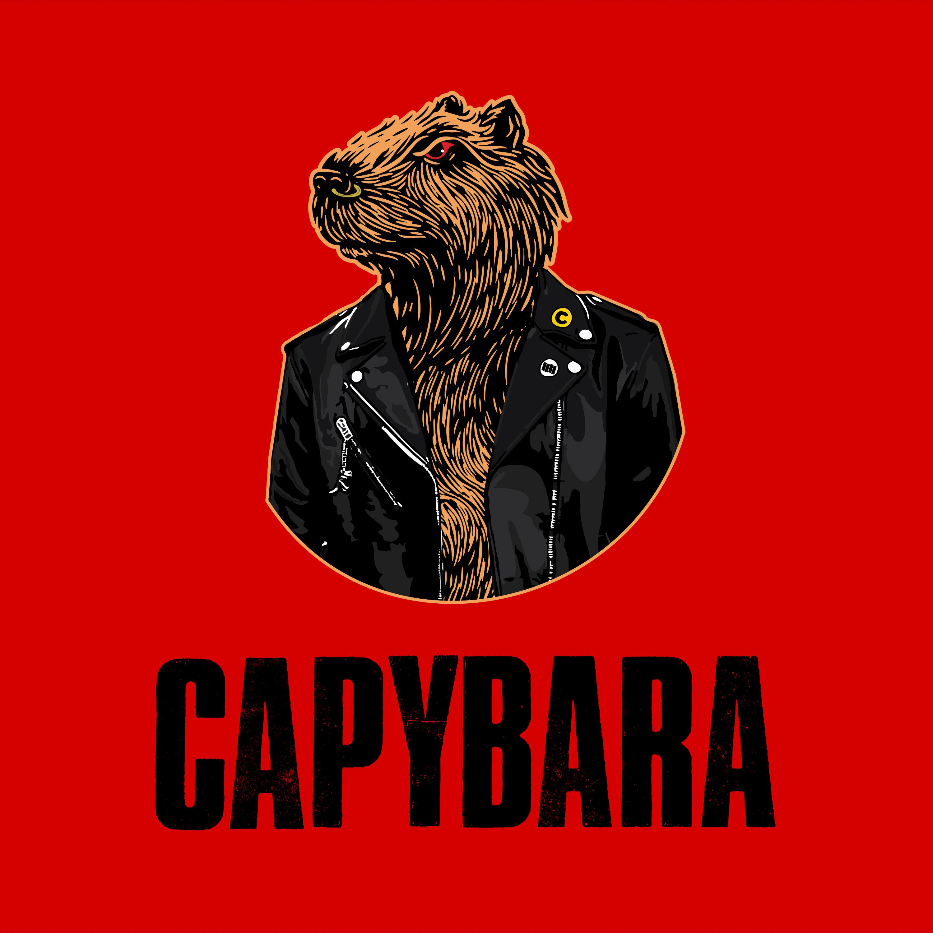 Постер альбома Capybara