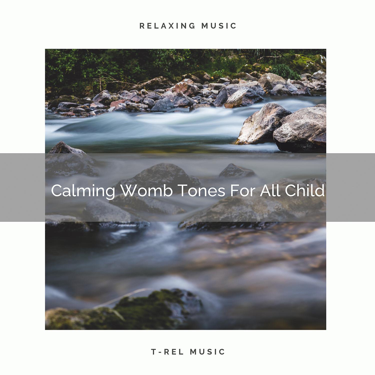 Постер альбома Calming Womb Tones For All Child