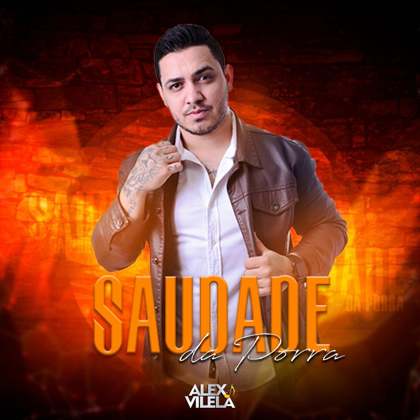 Постер альбома Saudade da Porra