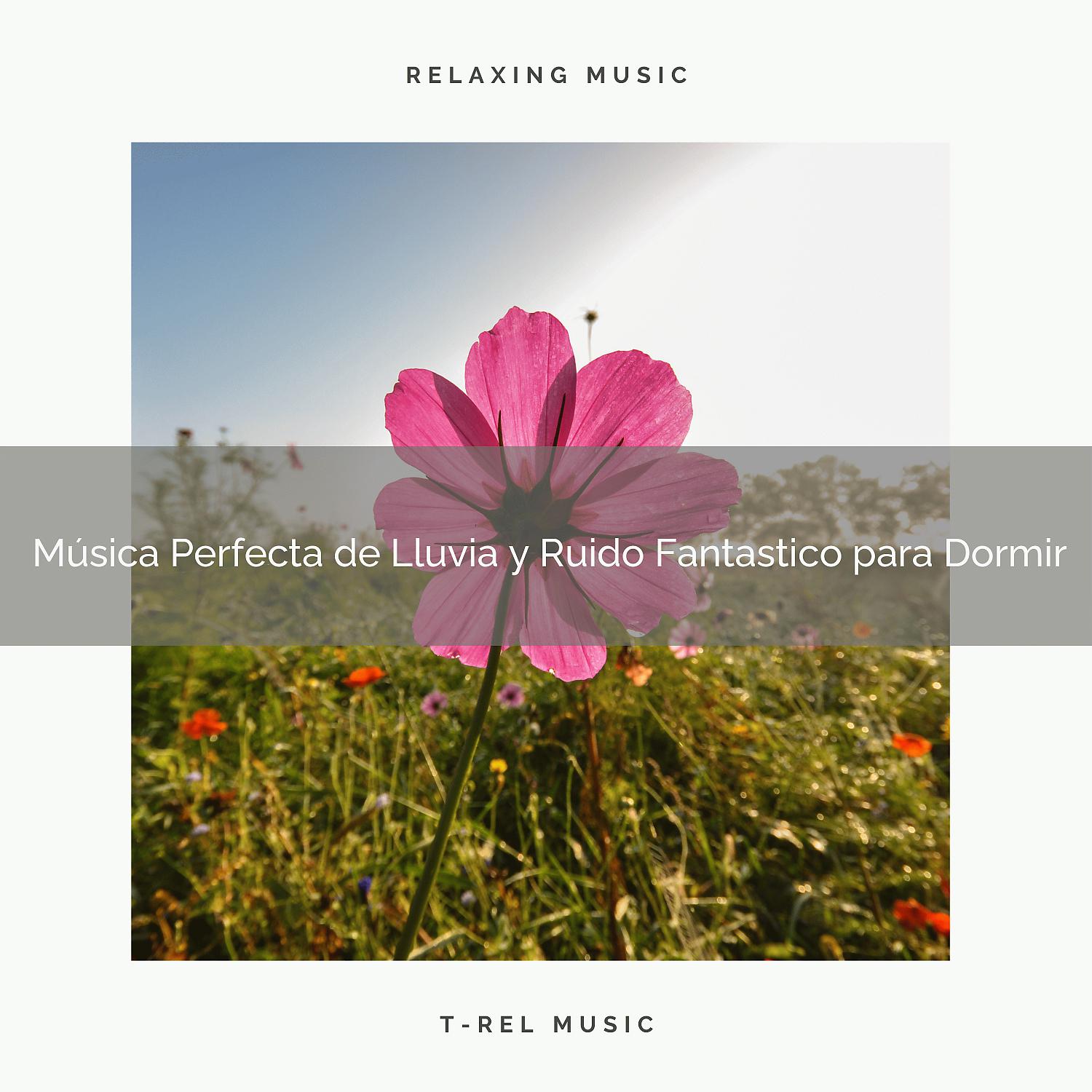 Постер альбома Música Perfecta de Lluvia y Ruido Fantastico para Dormir