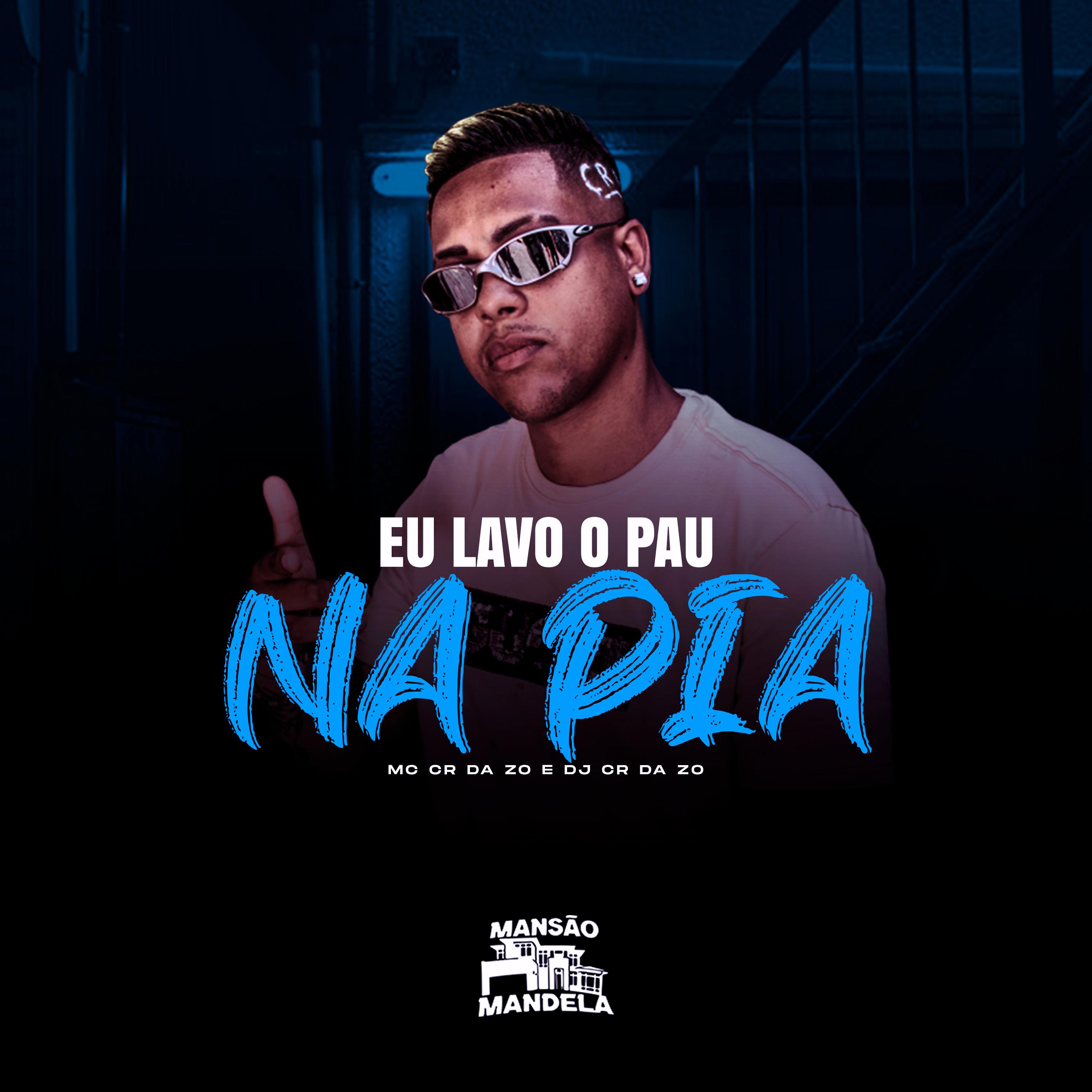 Постер альбома Eu Lavo o Pau na Pia