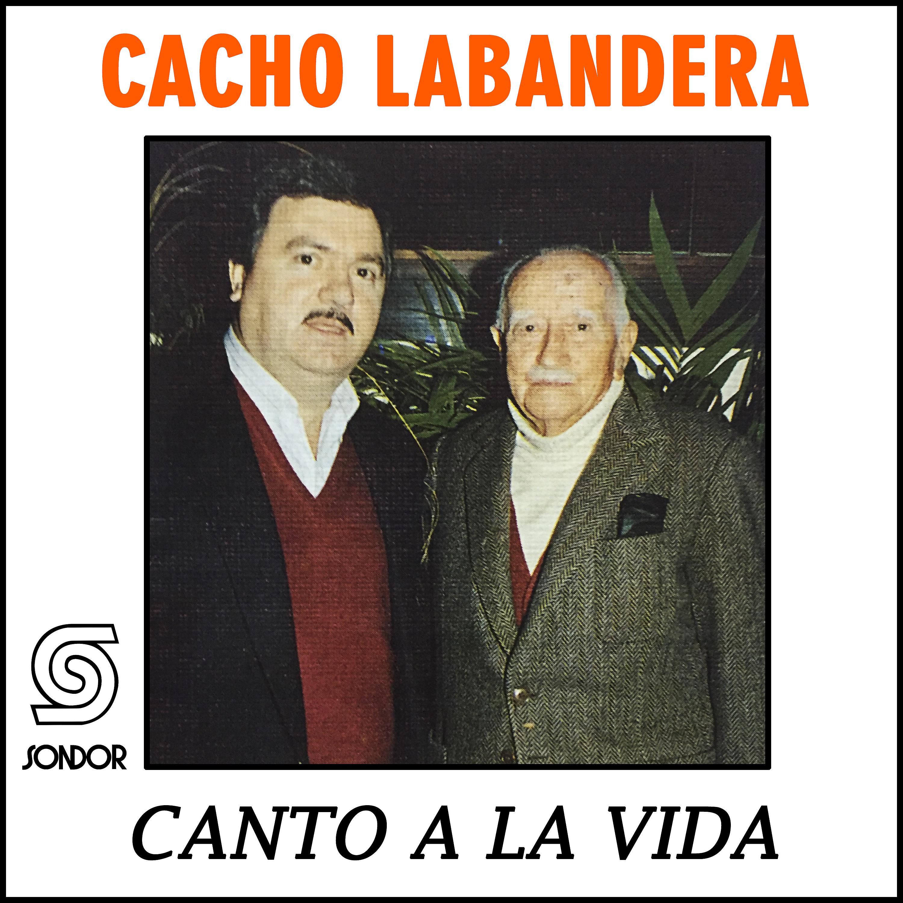 Постер альбома Canto a la Vida