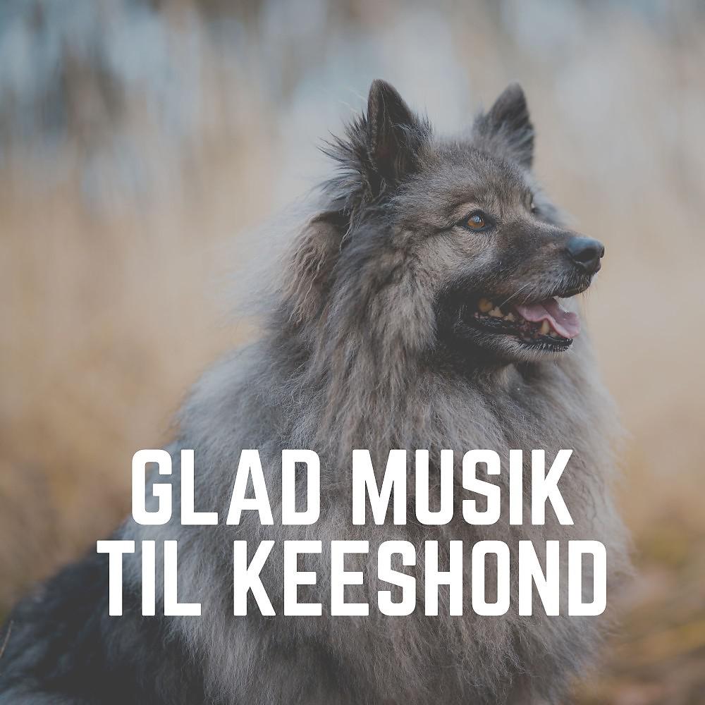 Постер альбома Glad Musik Til Keeshond
