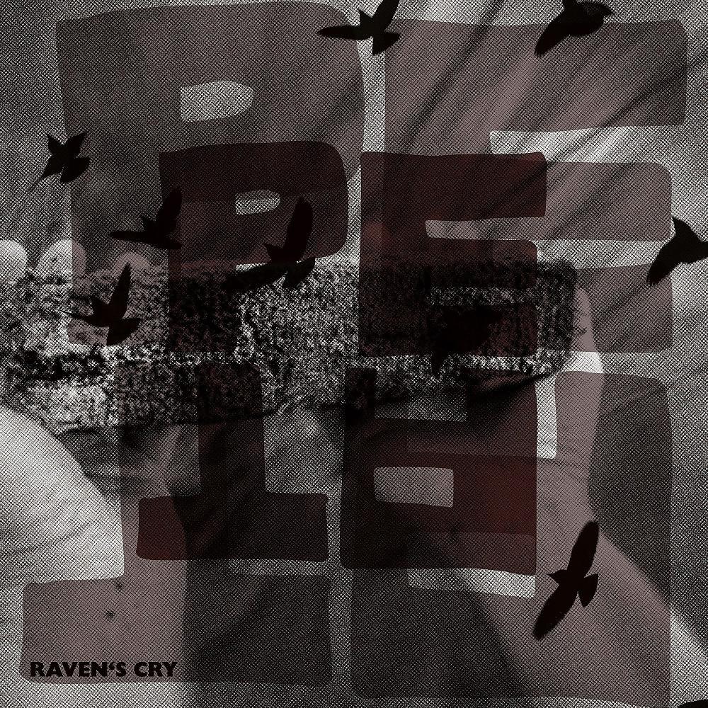 Постер альбома Raven's Cry (Radio Edit)
