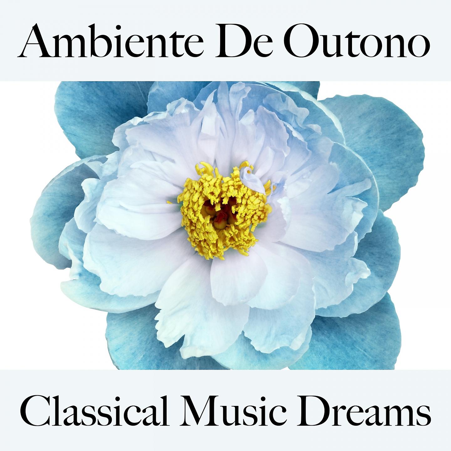 Постер альбома Ambiente De Outono: Classical Music Dreams - A Melhor Música Para Relaxar