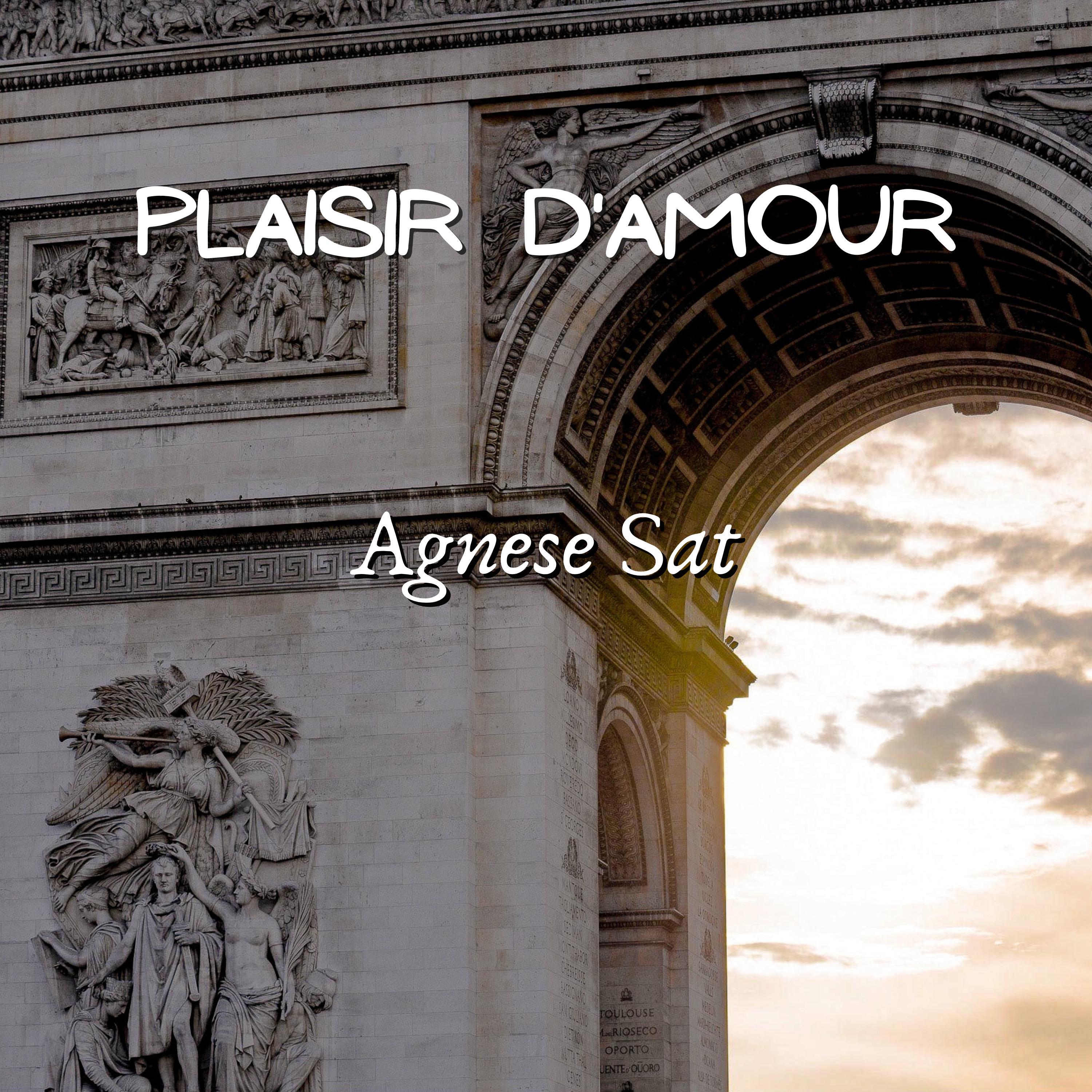 Постер альбома Plaisir d'amour
