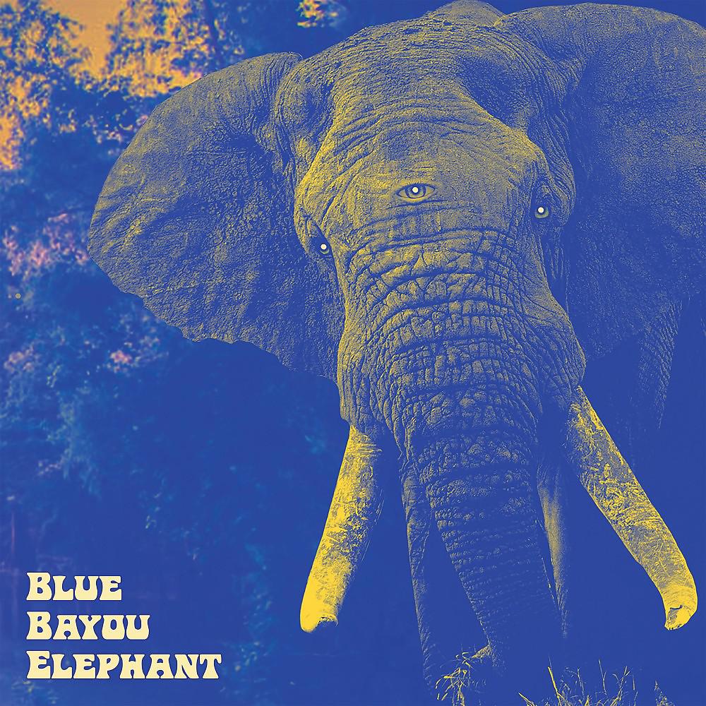 Постер альбома Blue Bayou Elephant