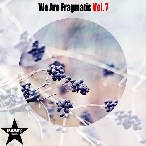 Постер альбома We Are Fragmatic, Vol. 7