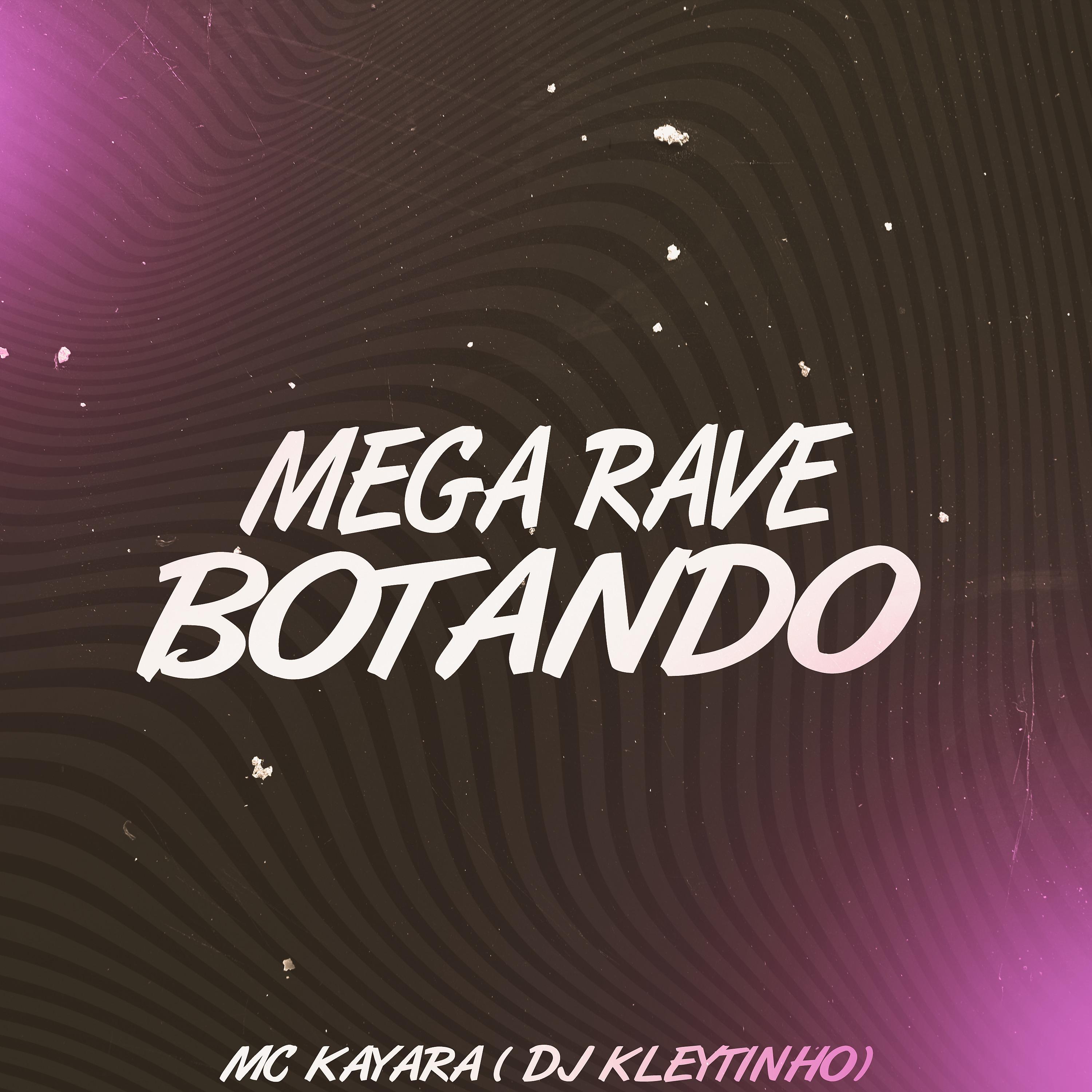 Постер альбома Mega Rave Botando
