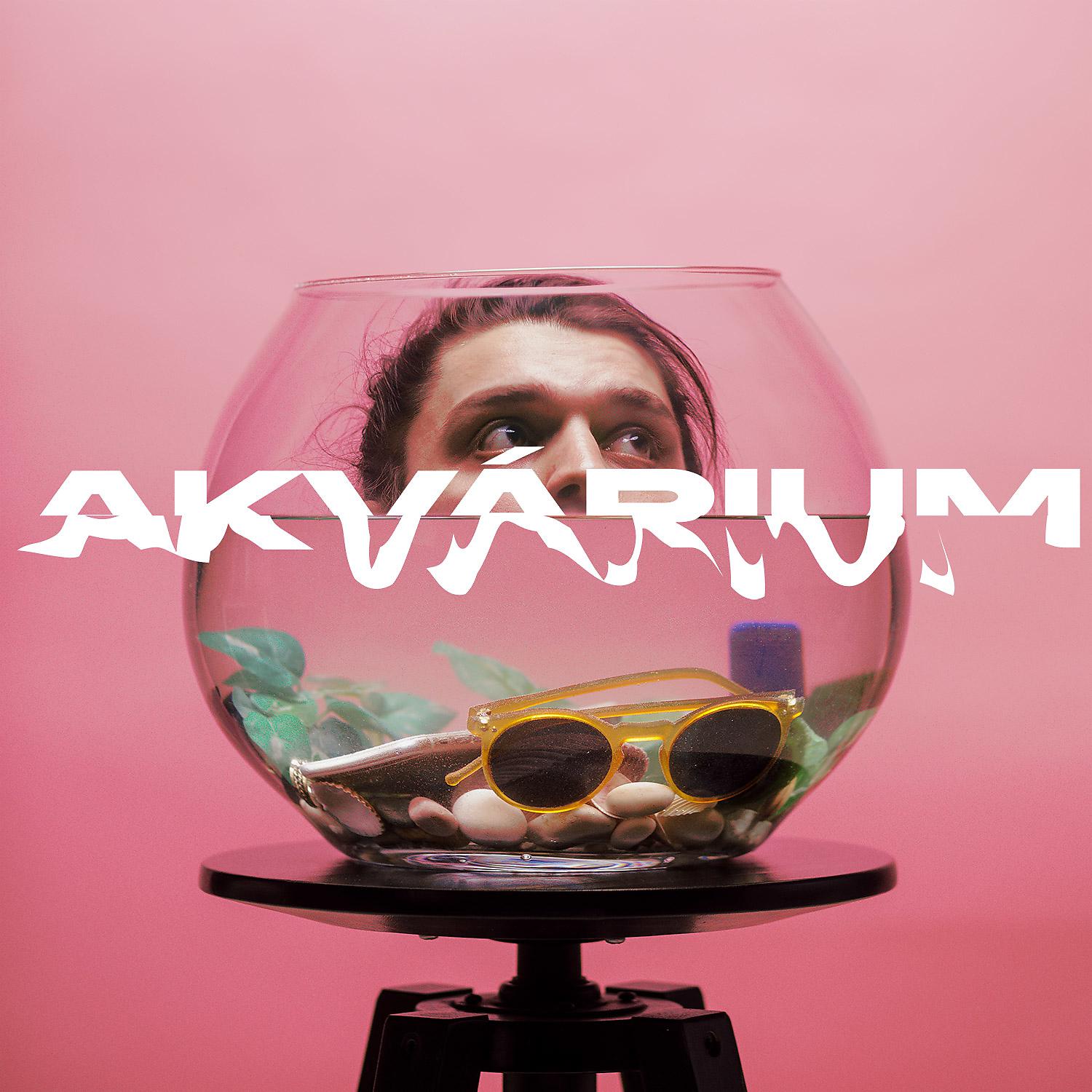 Постер альбома Akvárium