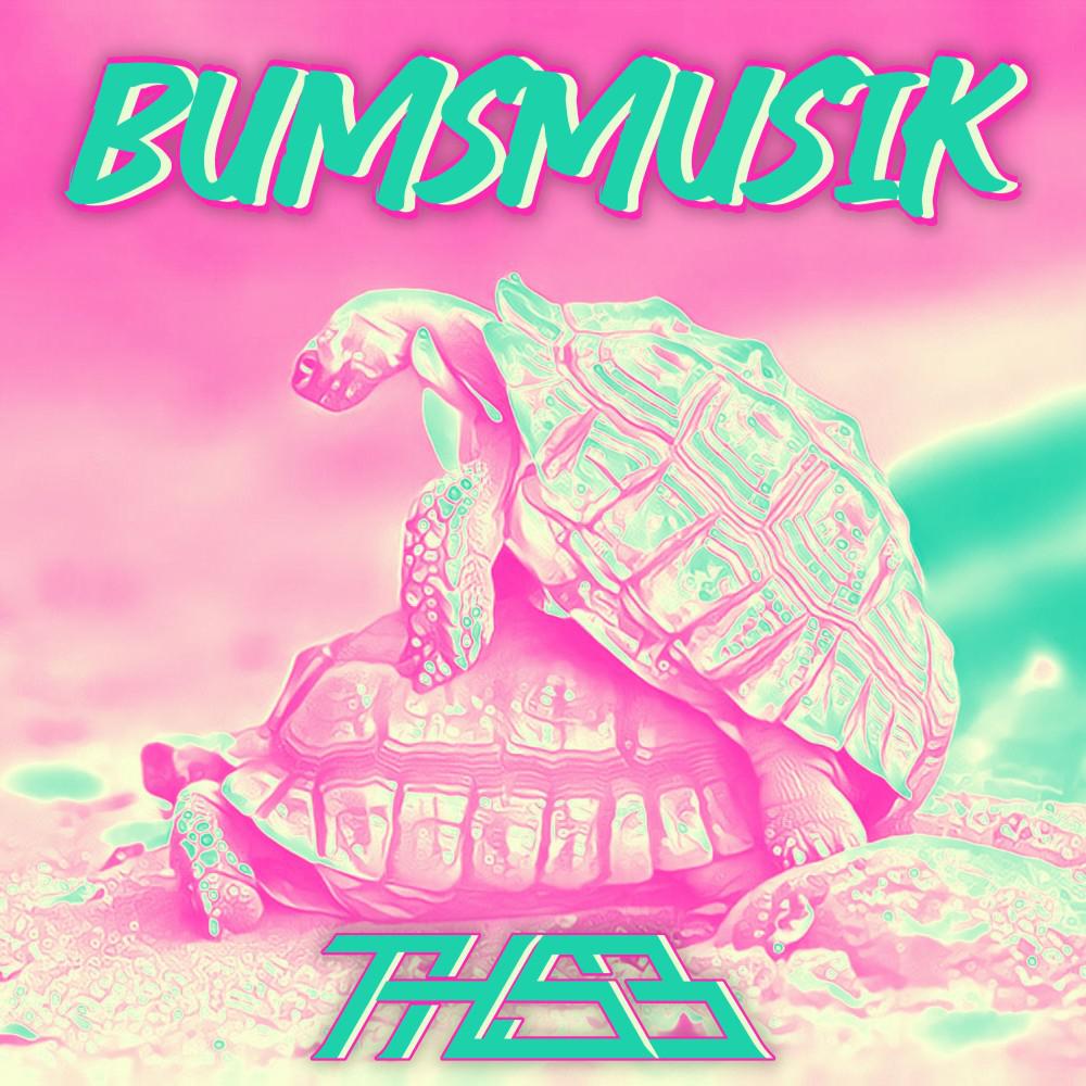 Постер альбома Bumsmusik