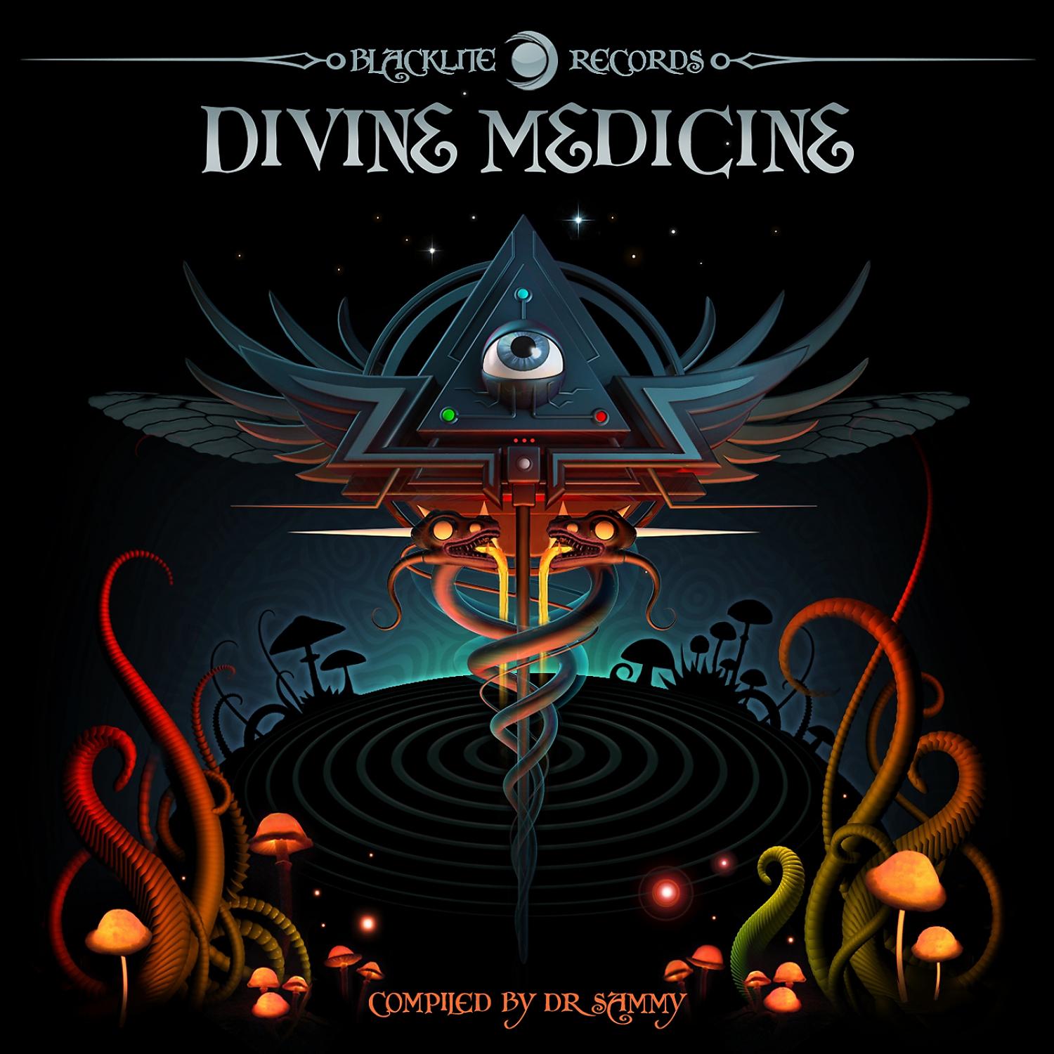 Постер альбома Divine Medicine